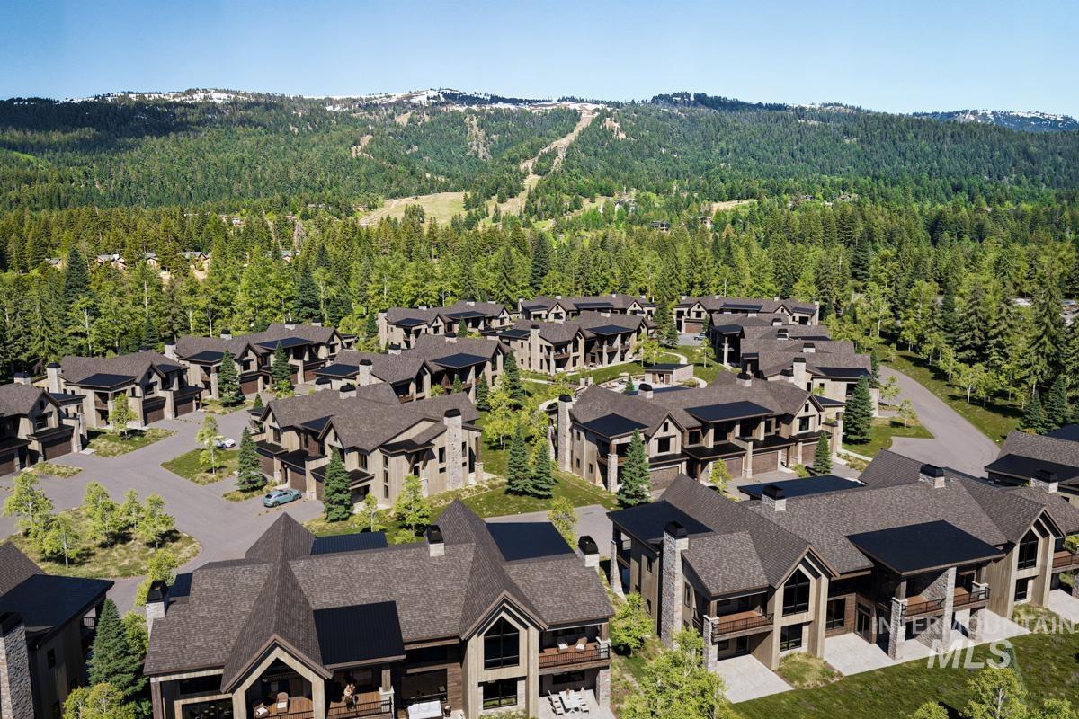 Aerial view of a forest