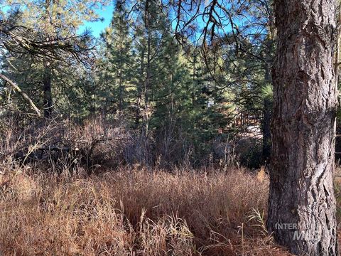 Photo of 129 Par Drive, Cascade, ID 83611 (MLS # 98968445)
