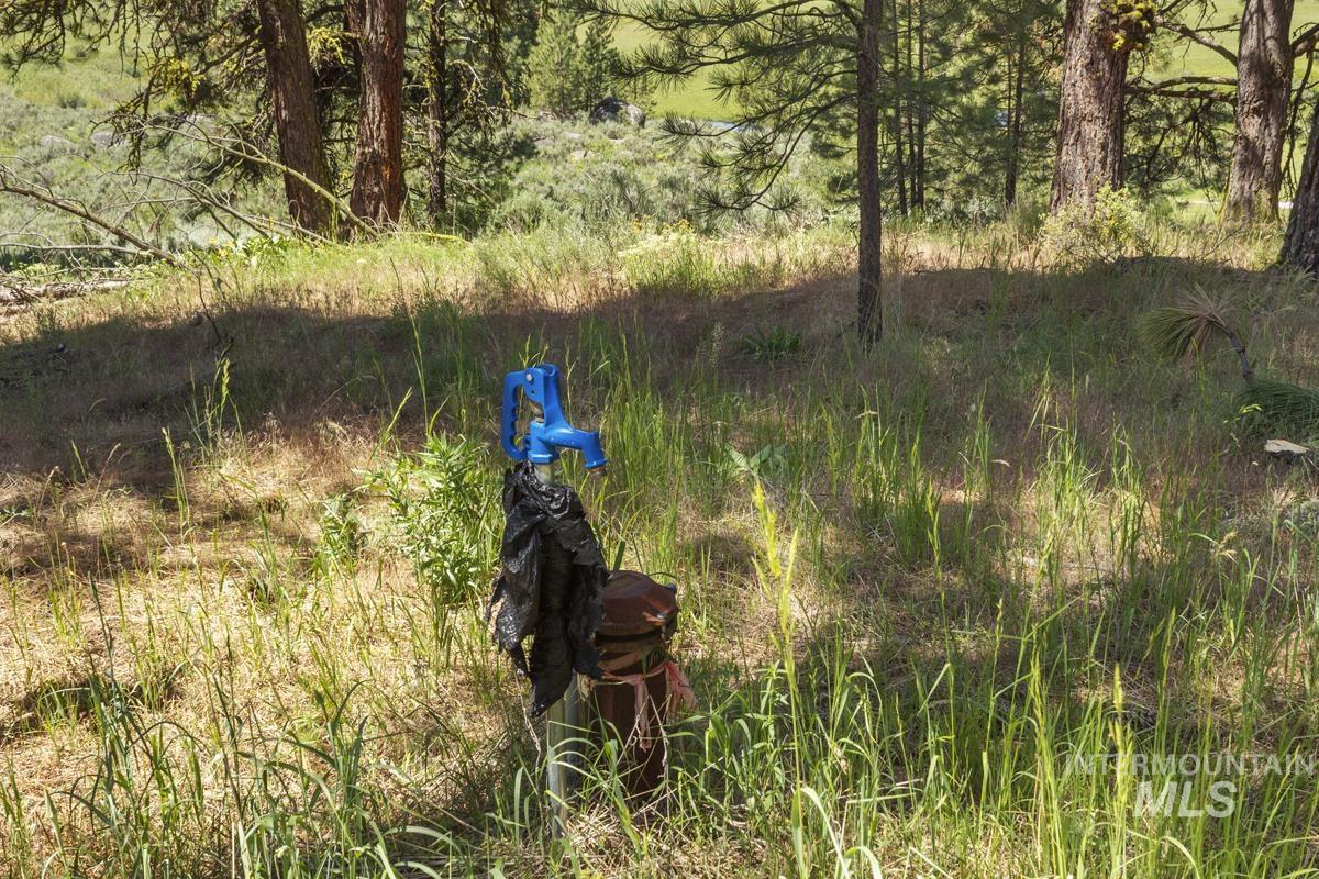 View of local wilderness