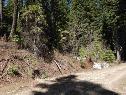 Photo of 1601 Bear Trail Loop, Donnelly, ID 83615 (MLS # 98983999)