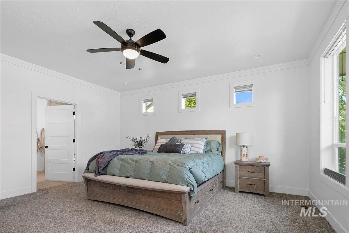 Bedroom featuring crown molding, carpet, a ceiling fan, and multiple windows