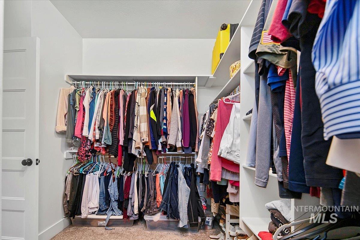 Walk in closet featuring carpet floors