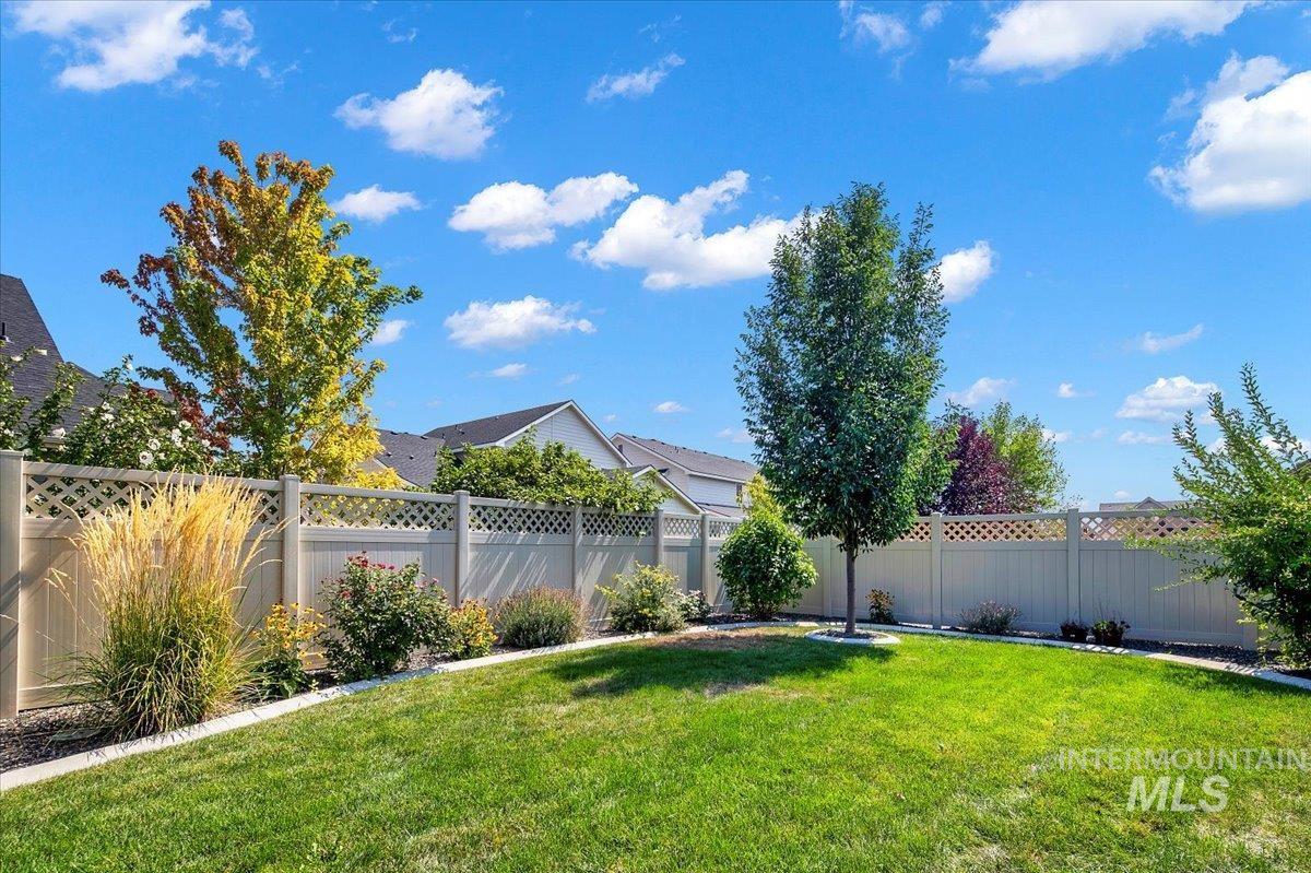 View of fenced backyard