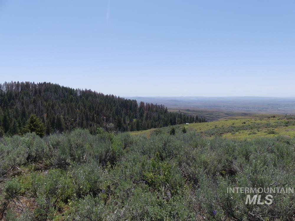 2880 S Grays Creek Rd.