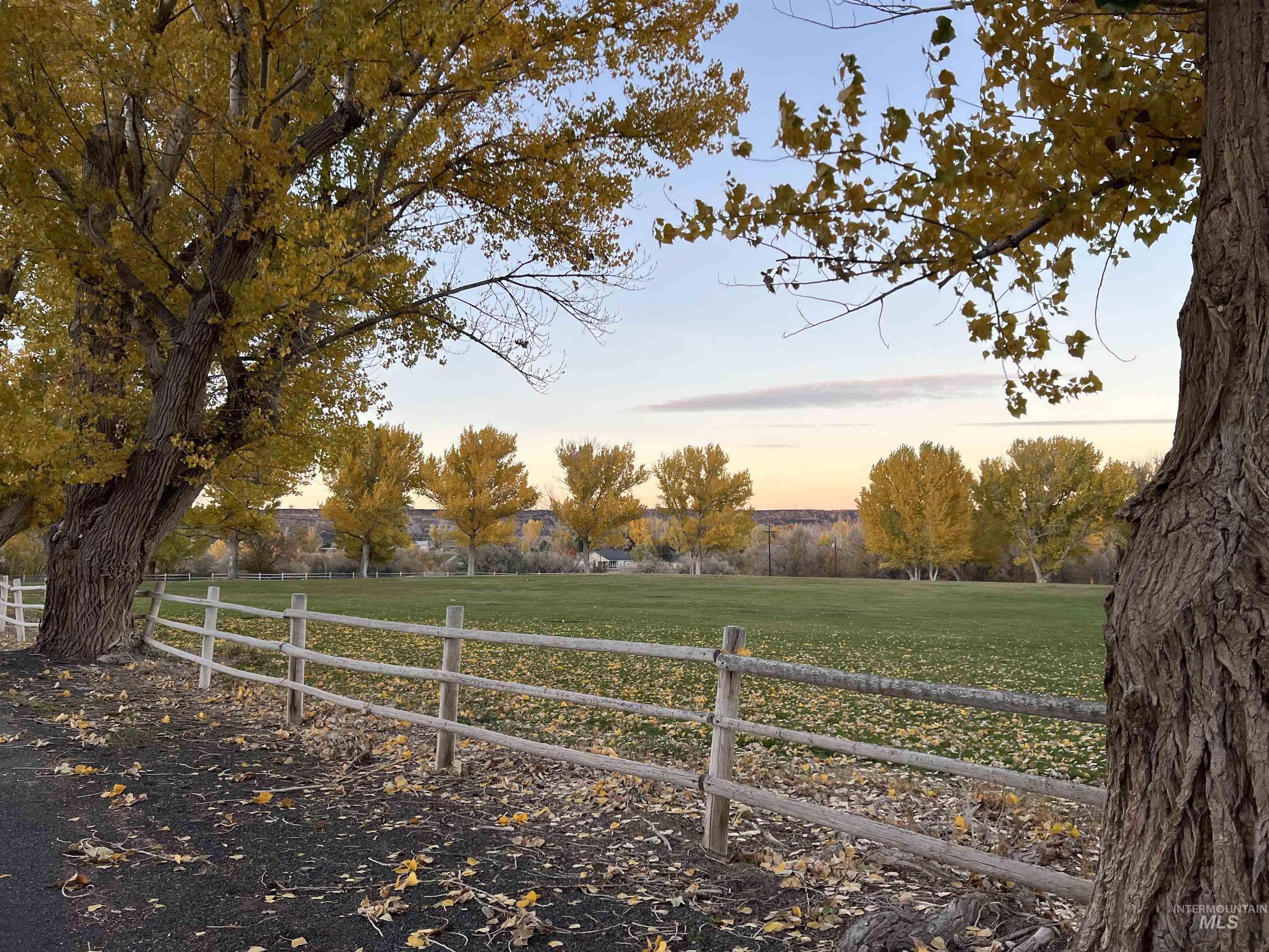 View of common area across the street