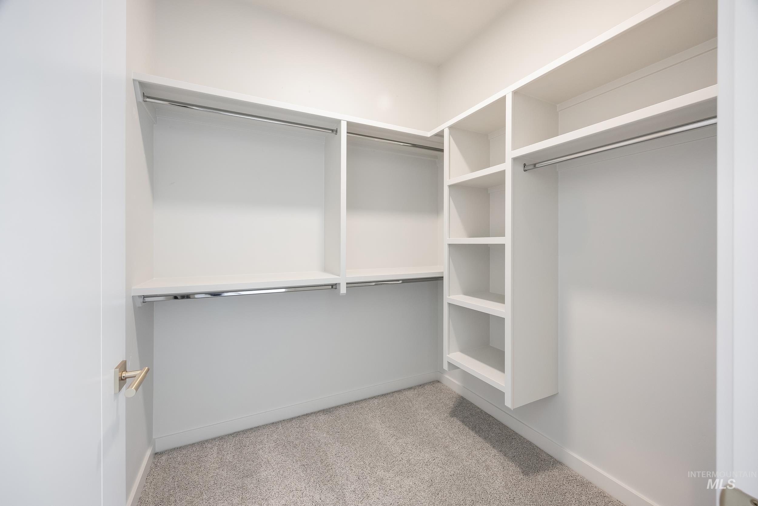 Walk in closet with light colored carpet