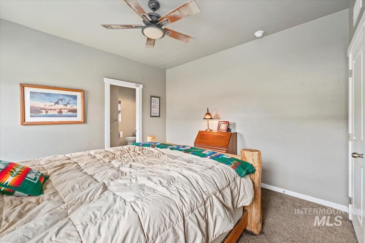 Carpeted bedroom with ensuite bath and ceiling fan