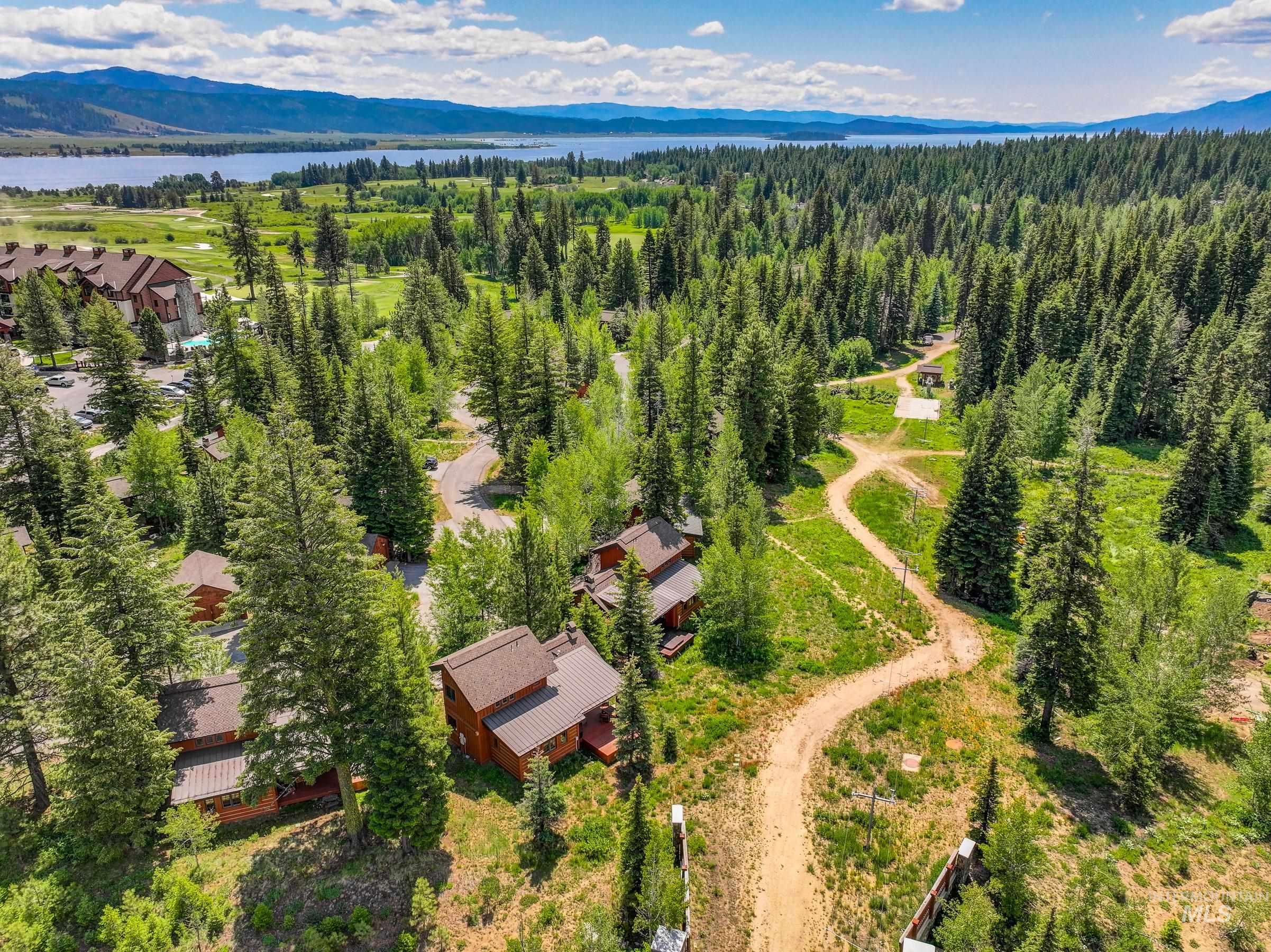 Bird's eye view of a water and mountain view and a forest
