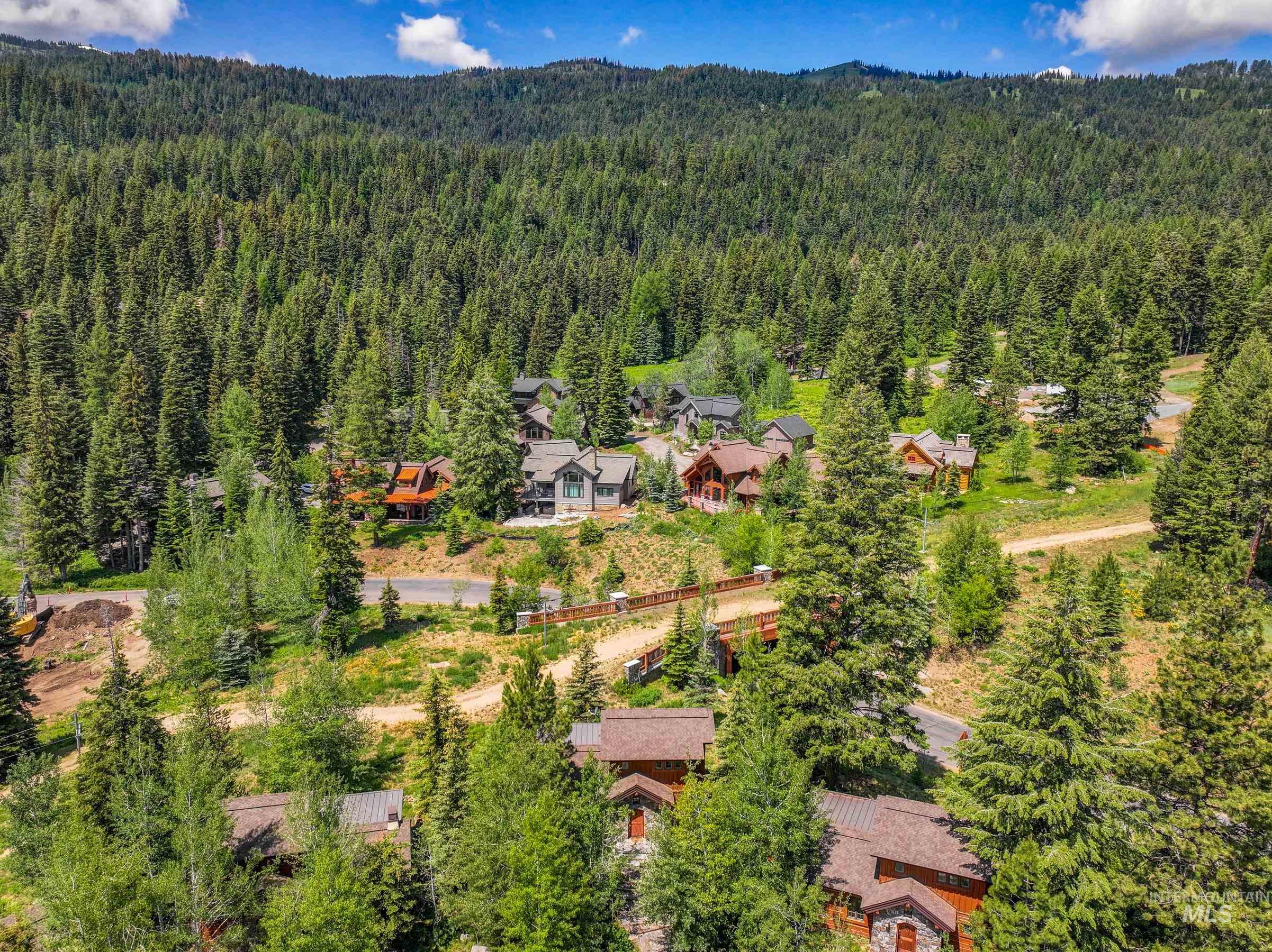 Drone / aerial view of a forest