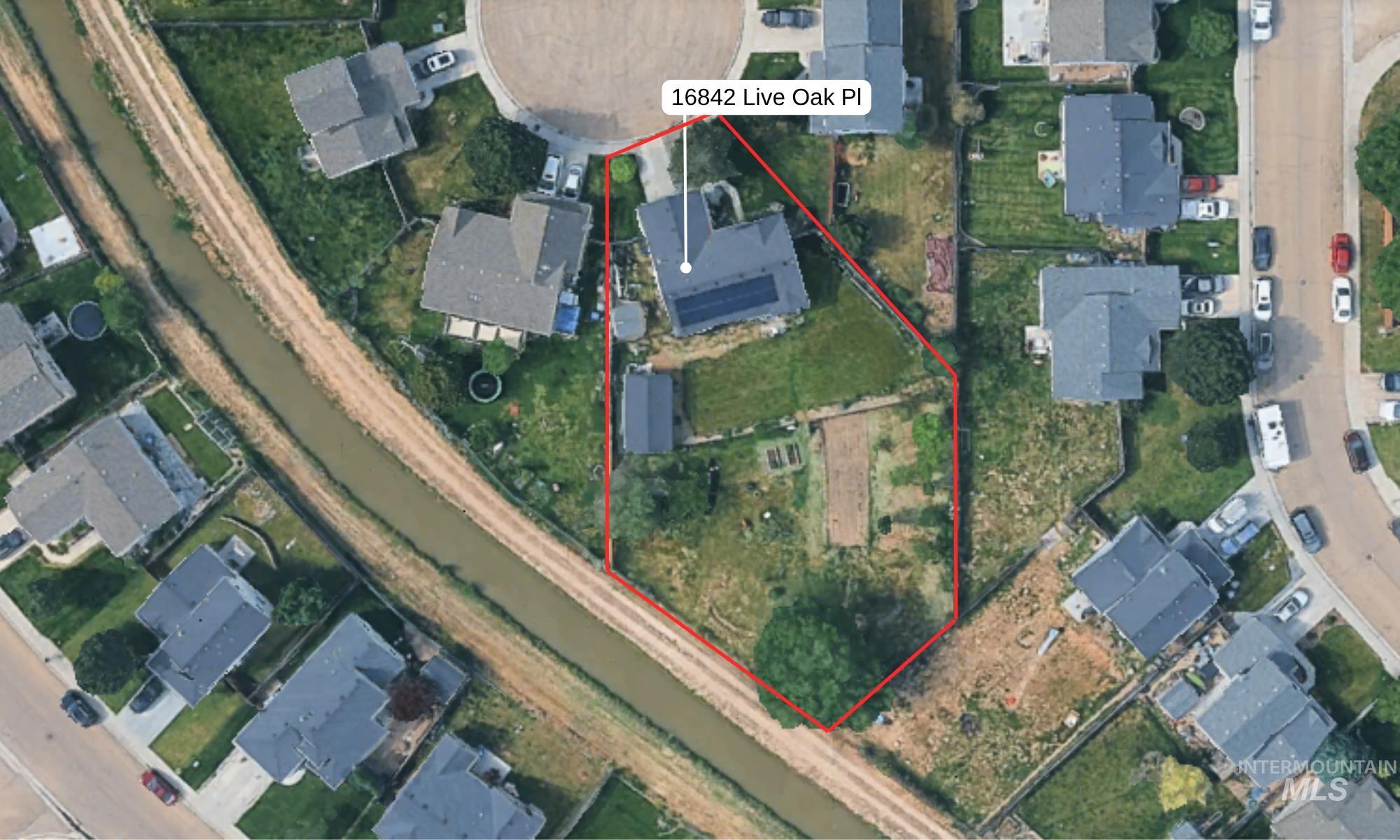 16842 Live Oak Pl