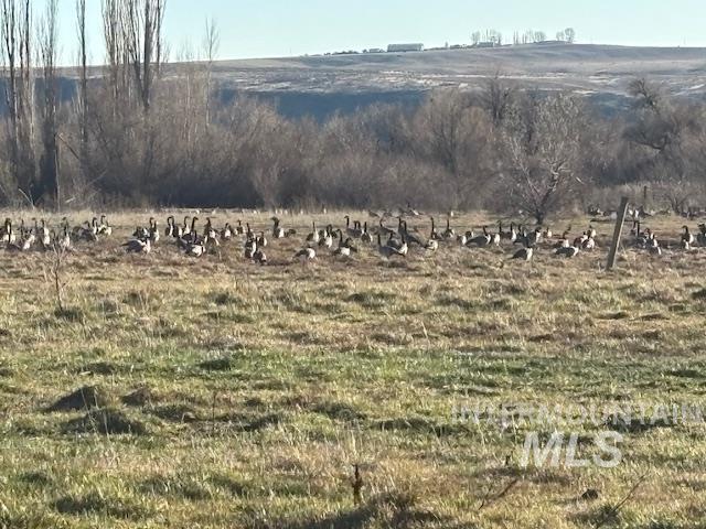 View of yard featuring a view of rural / pastoral area