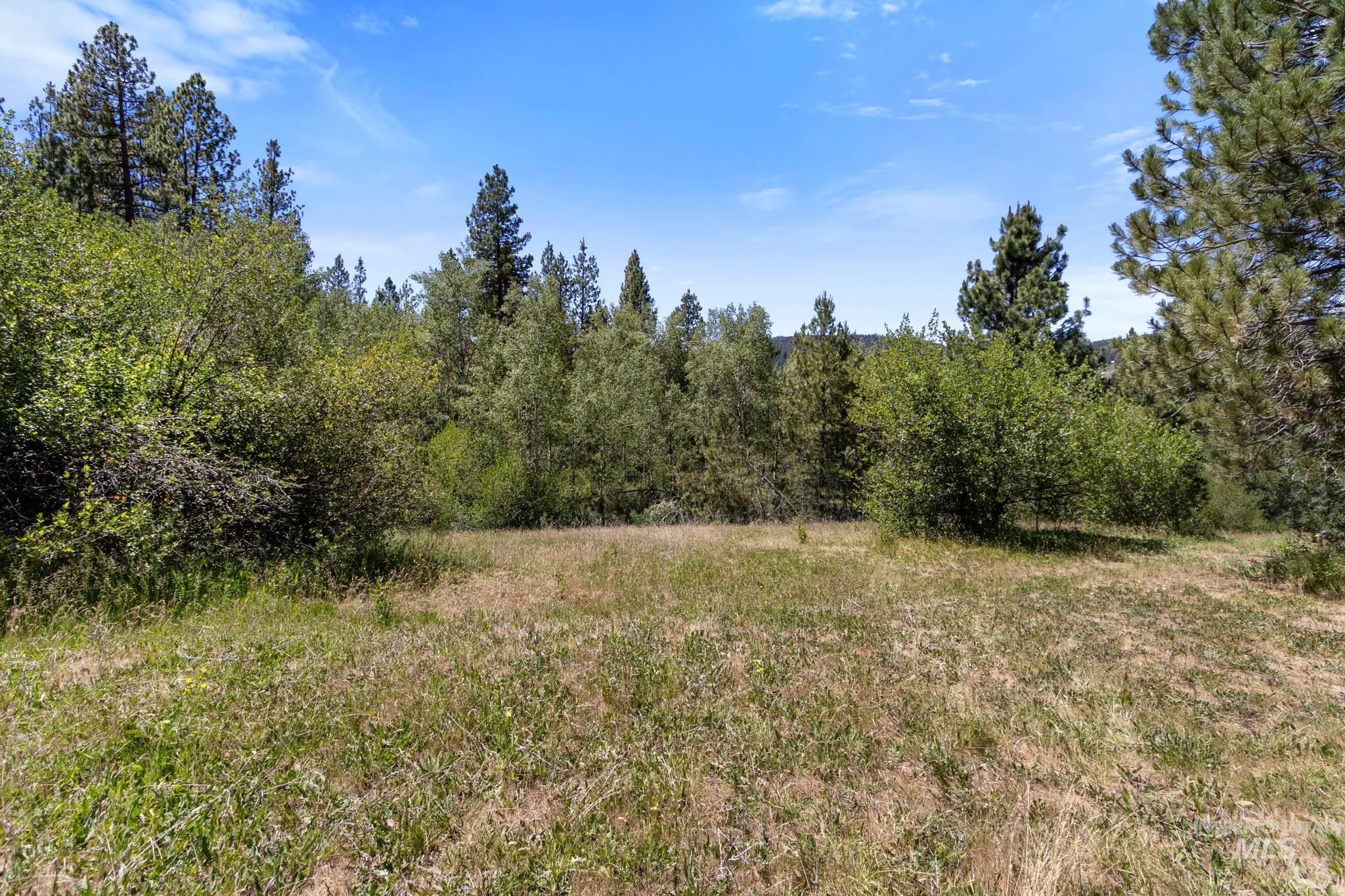 Expansive open field with natural vegetation and mature trees bordering the perimeter