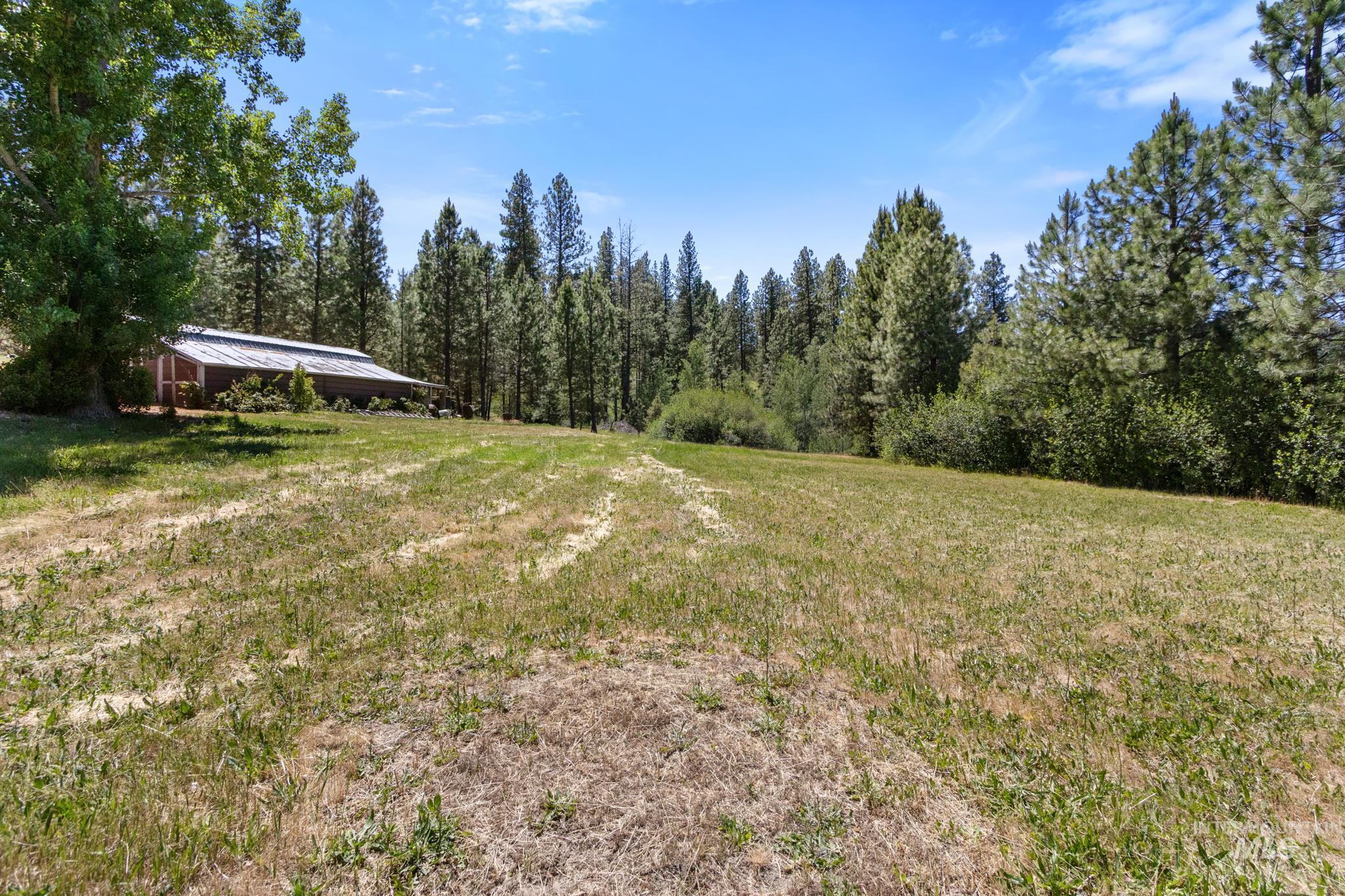 Expansive grassy field with a rustic barn structure