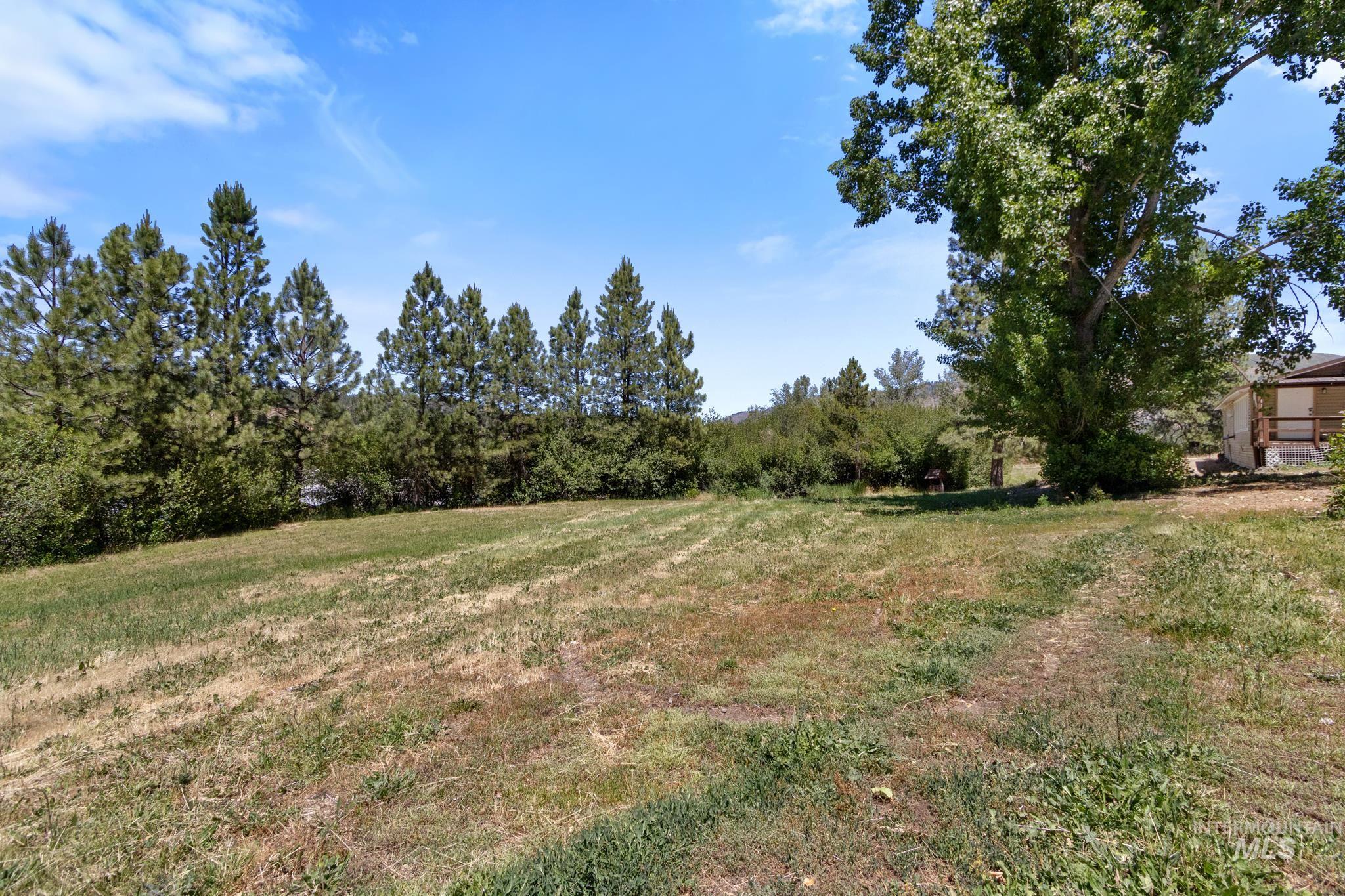 Expansive outdoor space featuring a large grassy area, mature trees, and natural landscaping along the perimeter