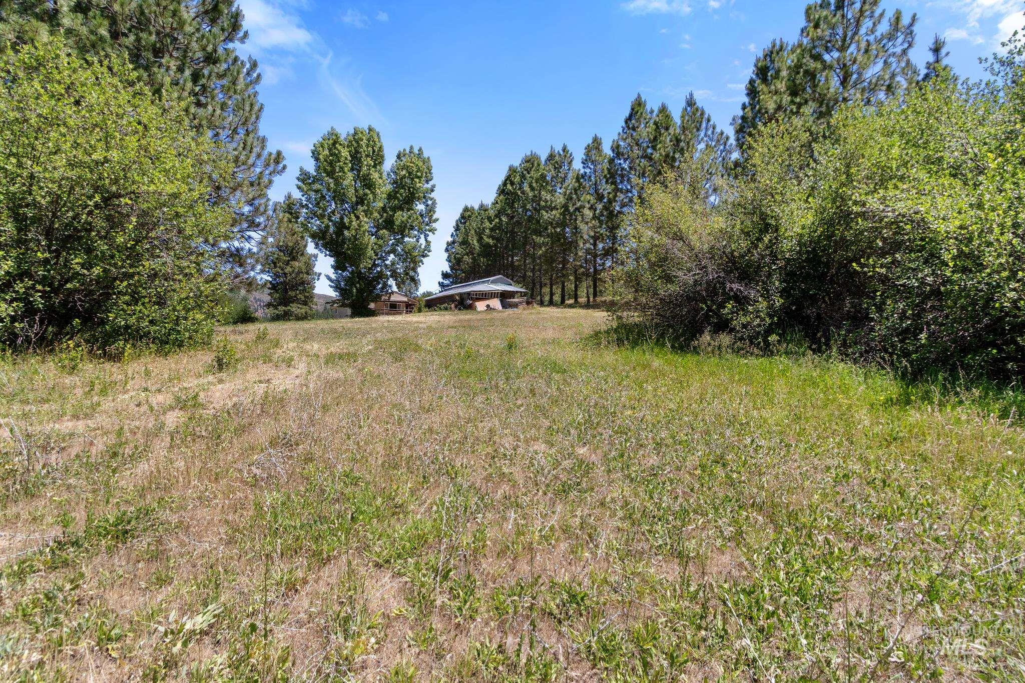 Expansive lot featuring mature evergreen and deciduous trees