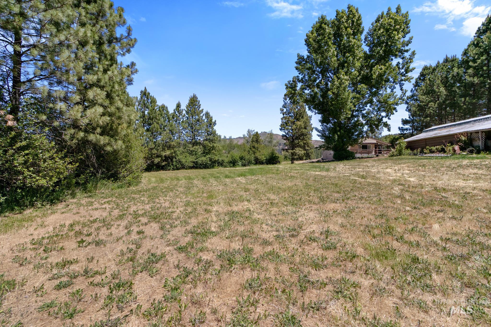 Expansive open land with varied mature trees and distant structures