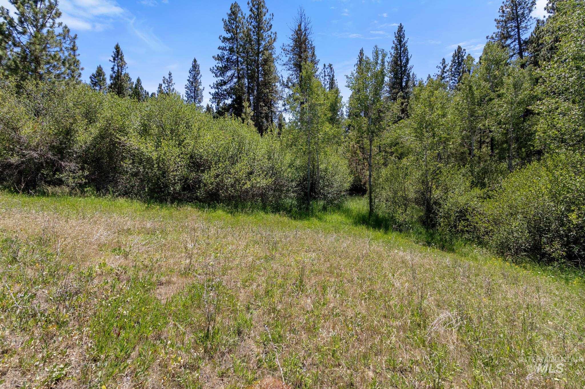 Expansive open field with scattered green foliage