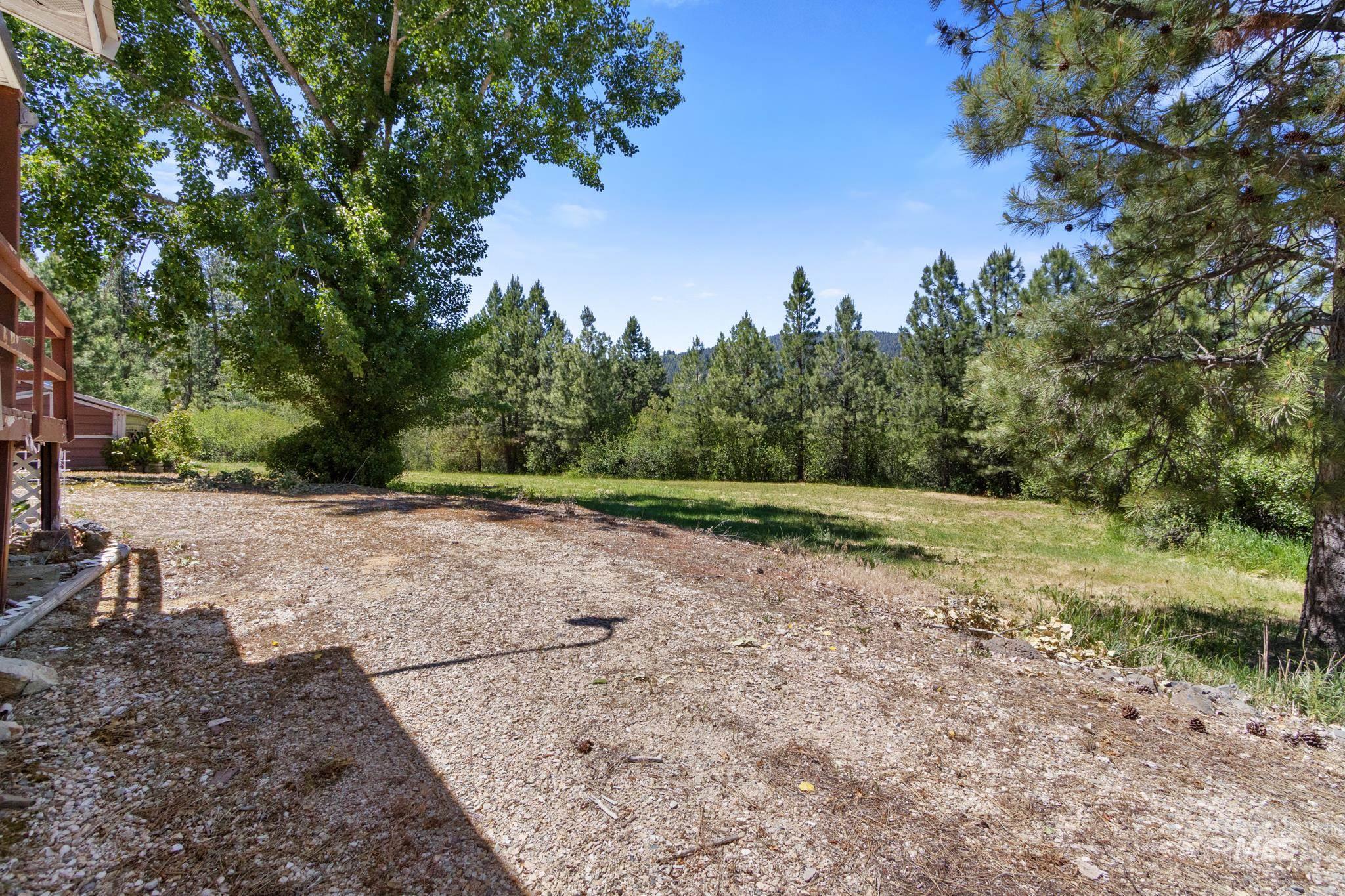 Expansive gravel yard with a large shade tree and distant evergreen forest