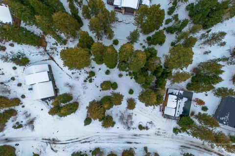 Photo of 1130 Bellflower Place, McCall, ID 83638 (MLS # 98973804)