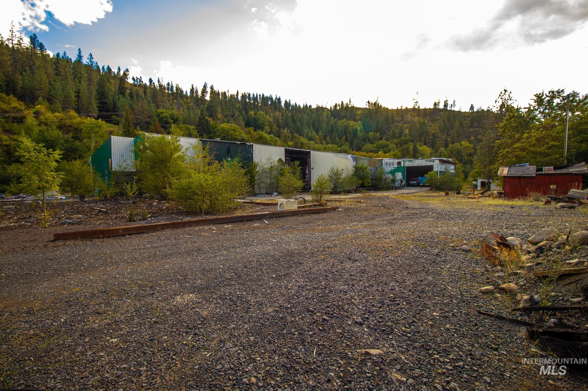 View of yard featuring a wooded view
