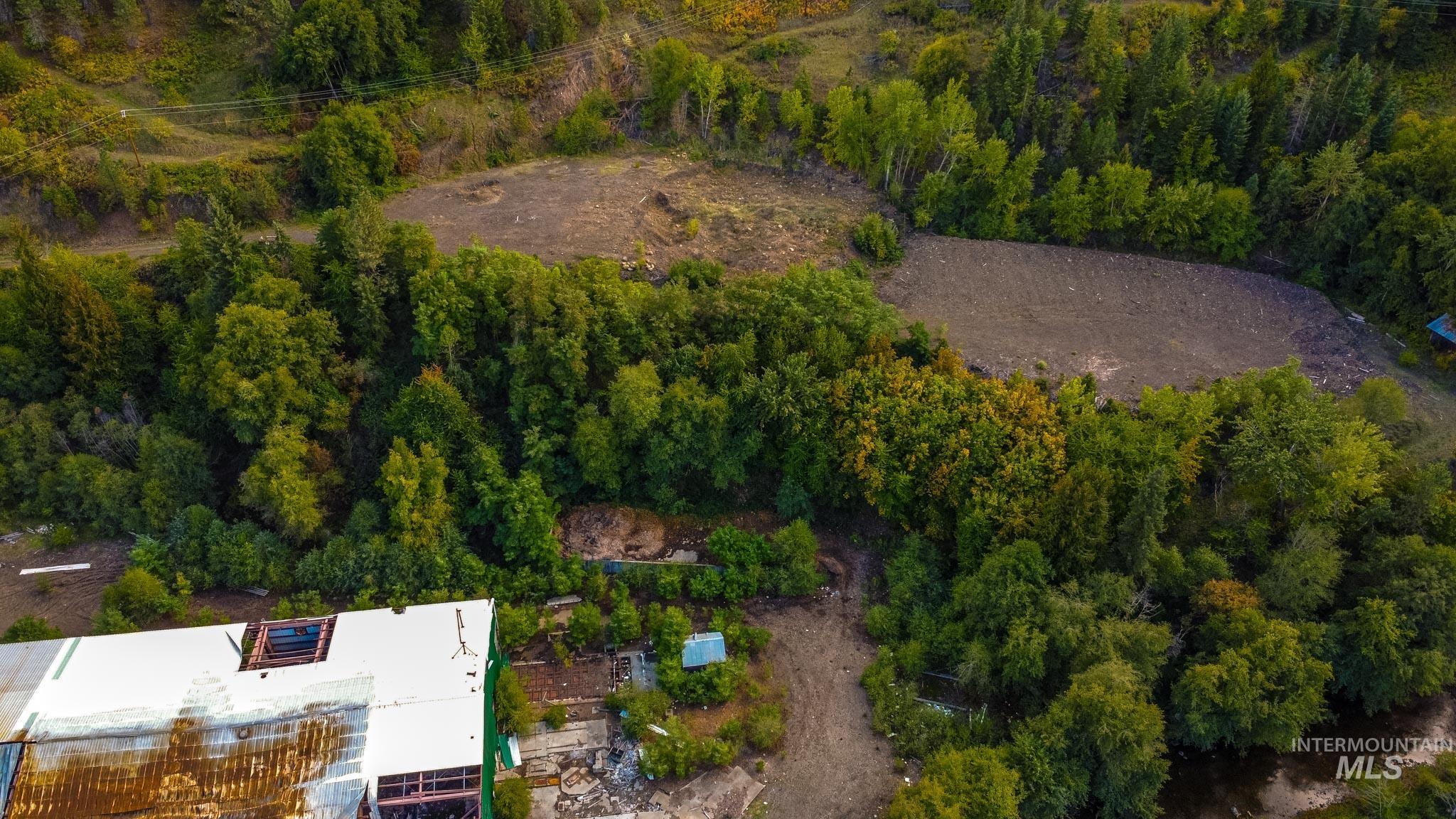 Aerial view of a forest