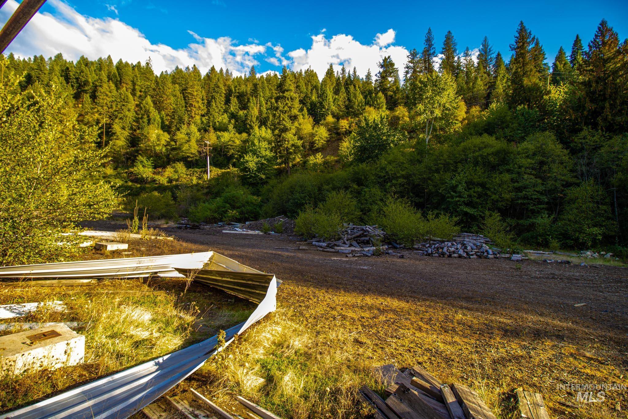 View of yard featuring a forest view