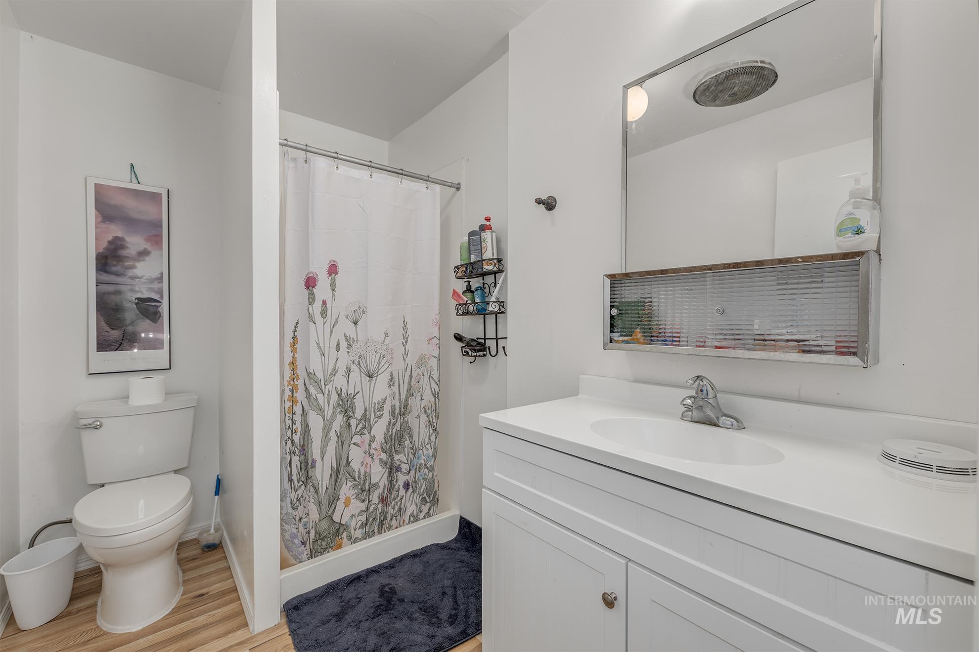 Bathroom featuring vanity, light wood finished floors, and a shower with curtain
