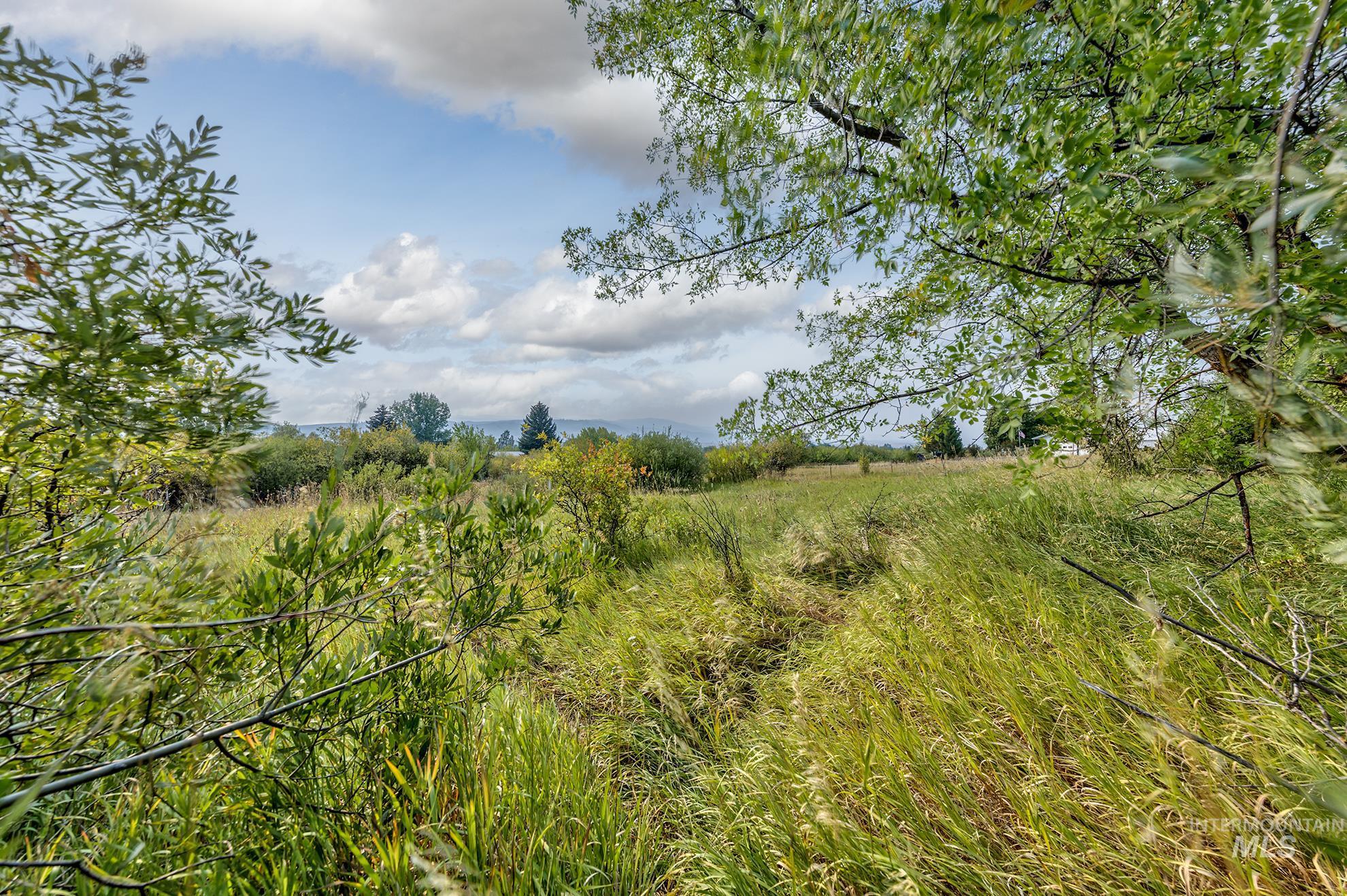 View of local wilderness featuring rural landscape