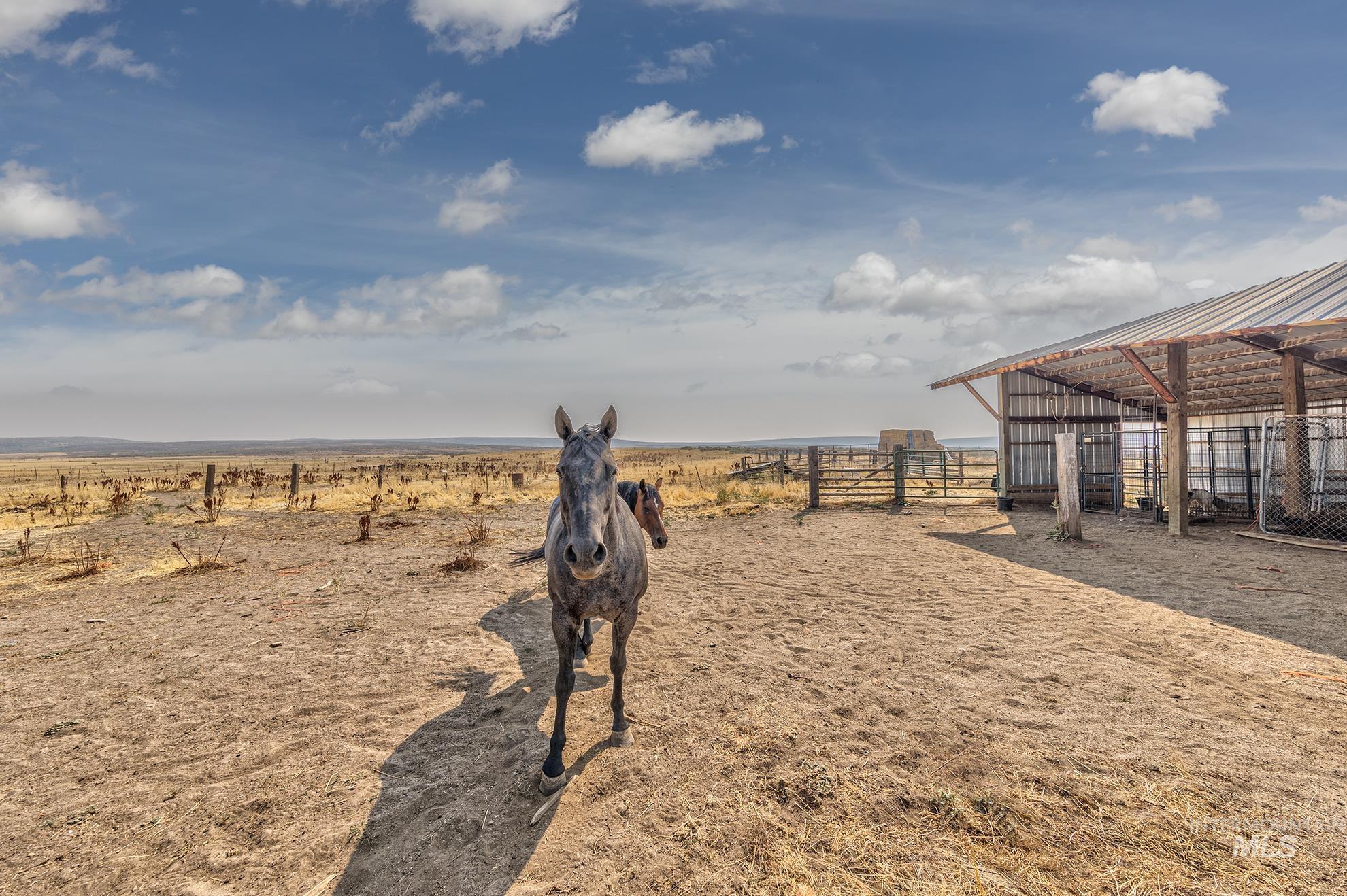 3115 Farm To Market Rd, Midvale, Idaho image 35