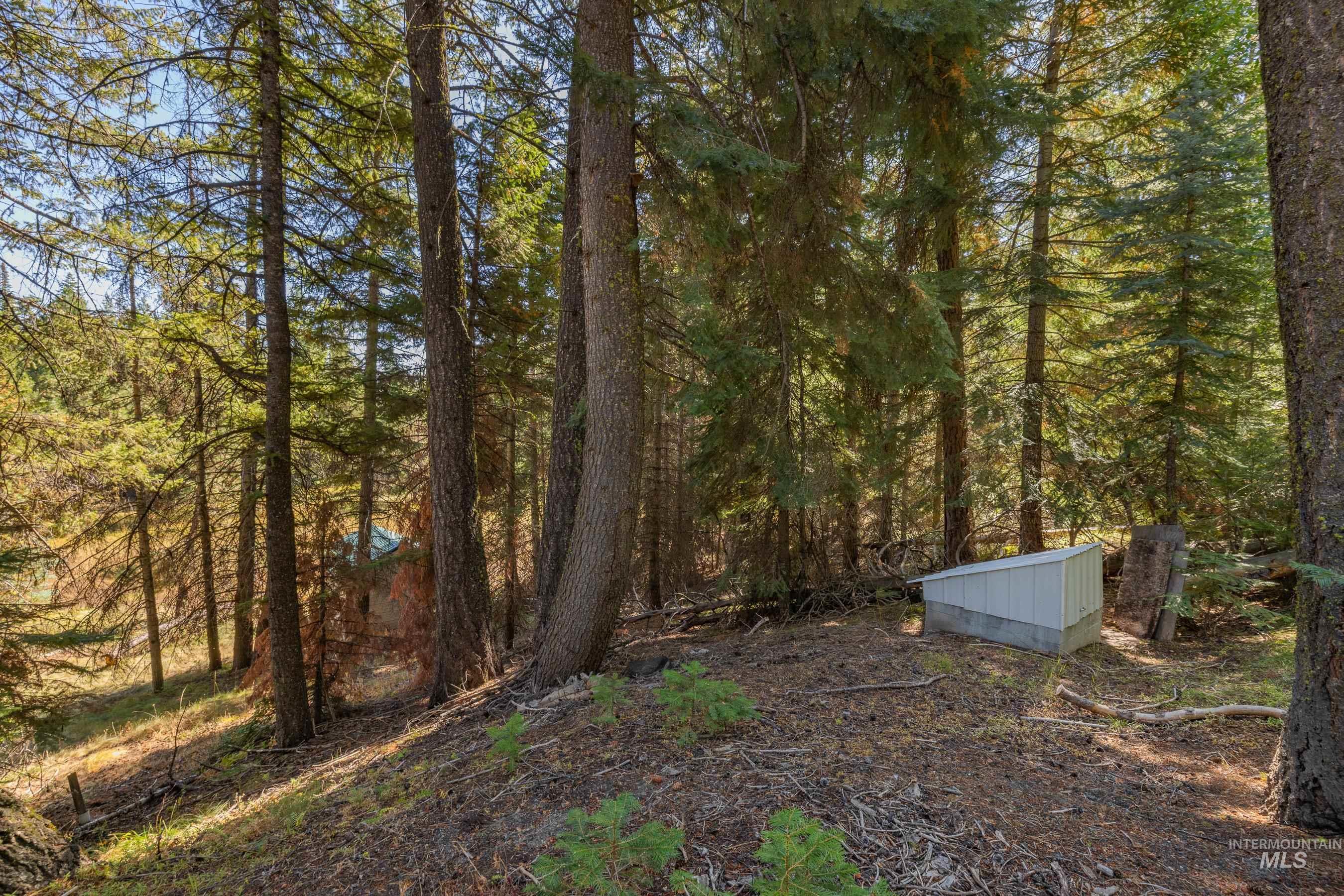 View of yard with a wooded view