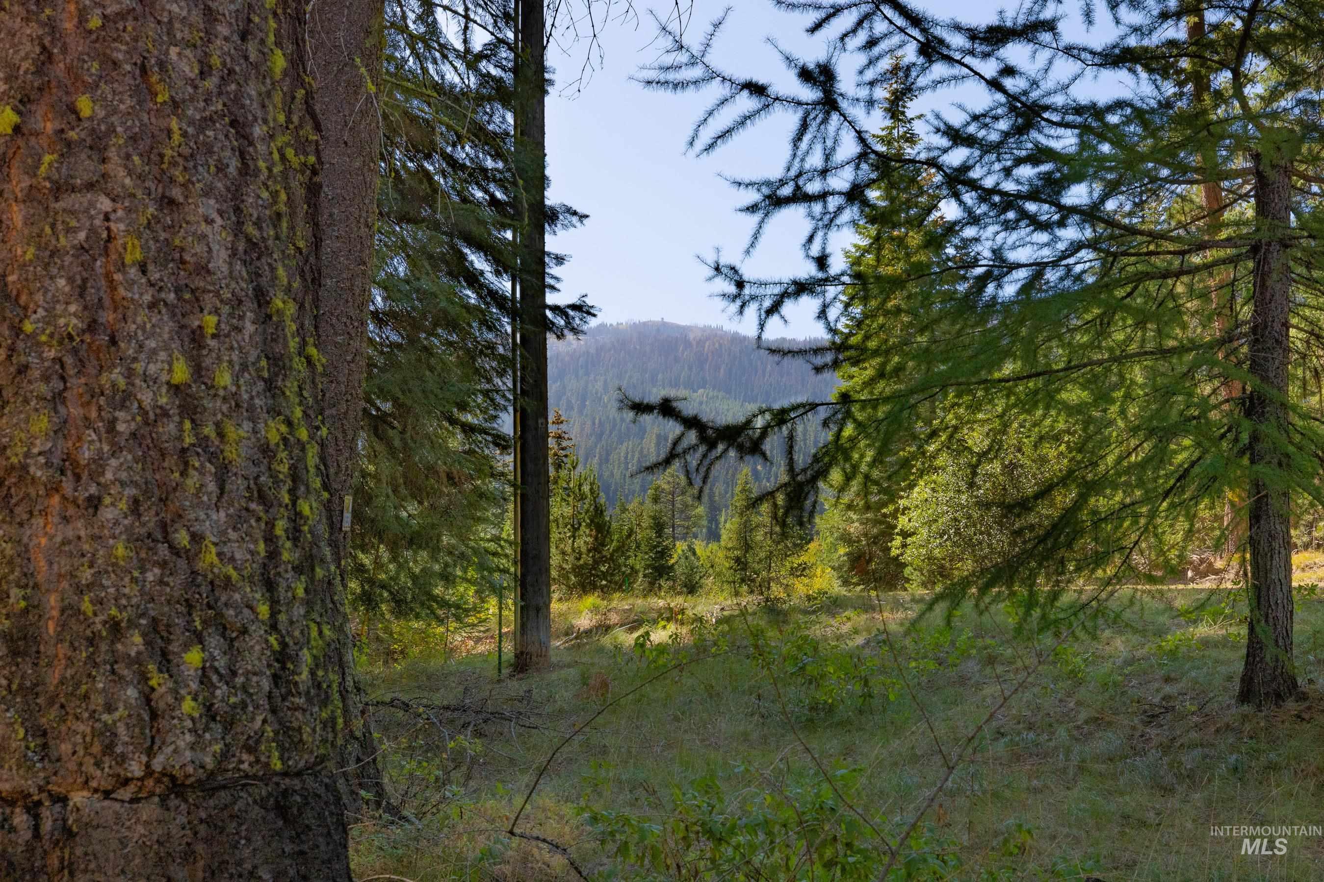 View of mountain backdrop featuring a heavily wooded area