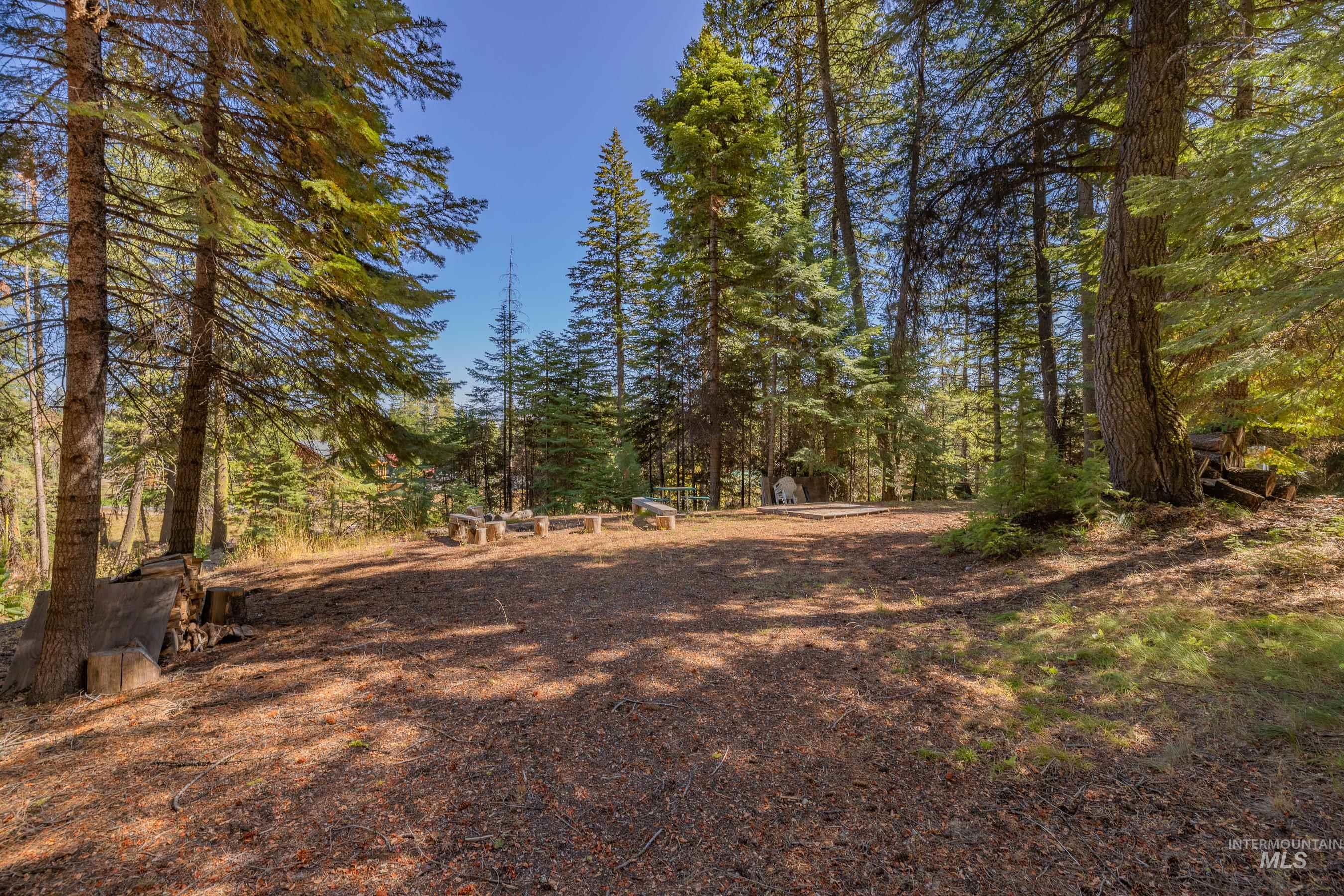 View of undeveloped land