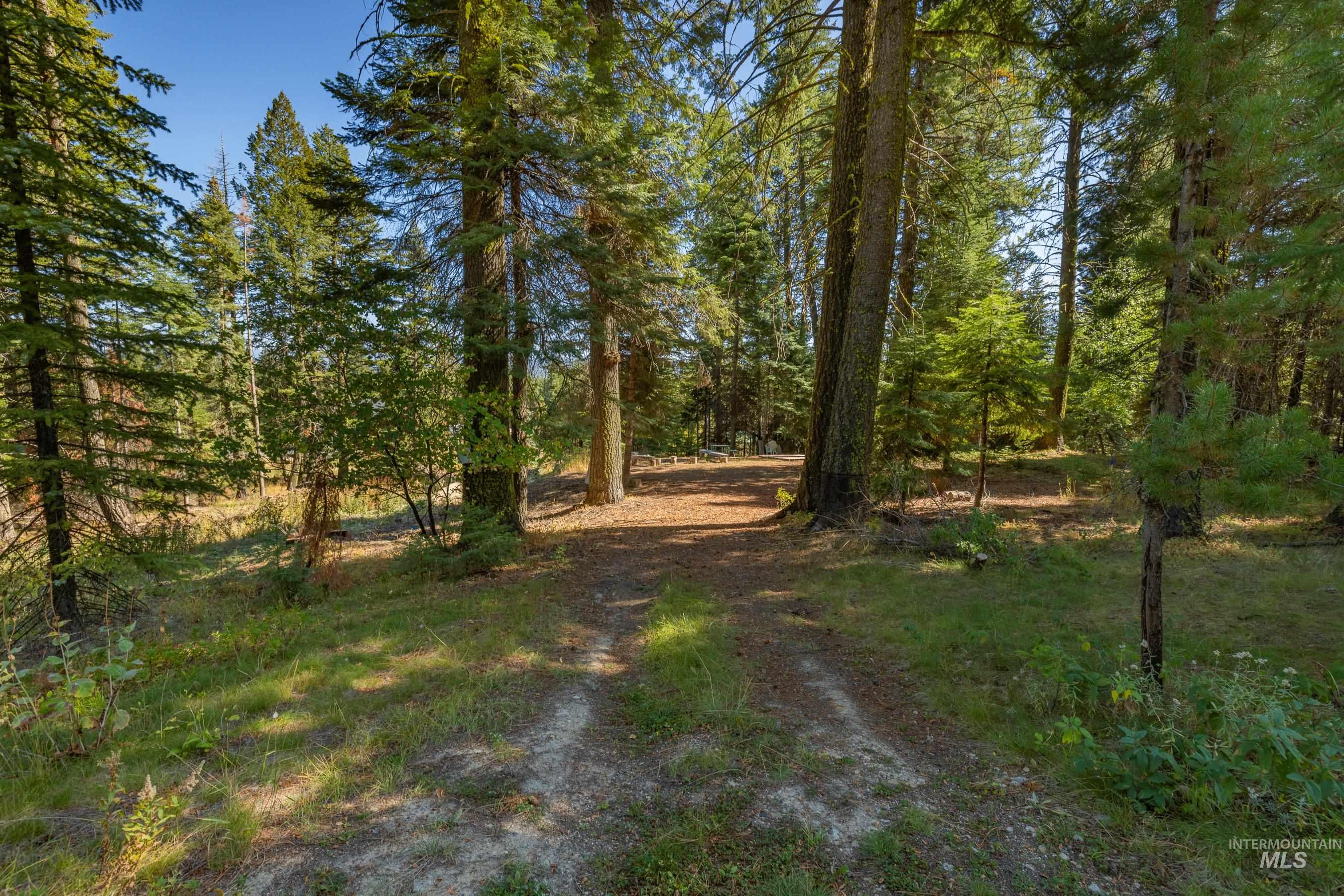 View of road driveway