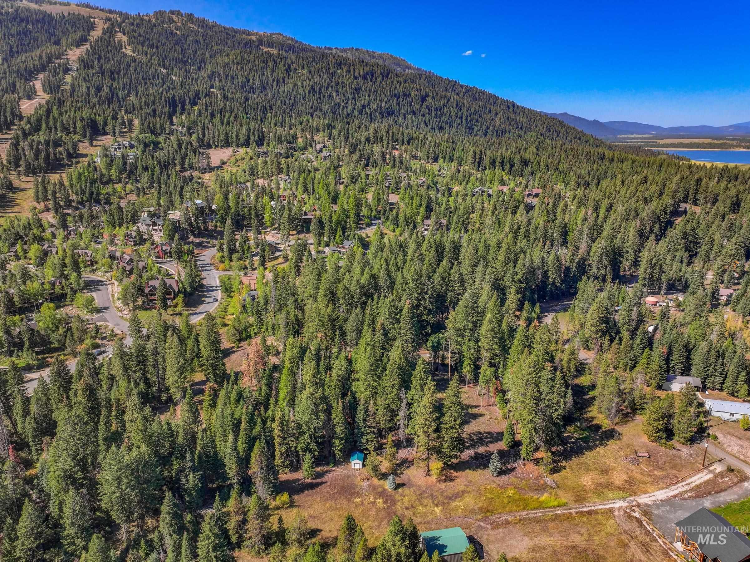 View of mountain backdrop with a heavily wooded area