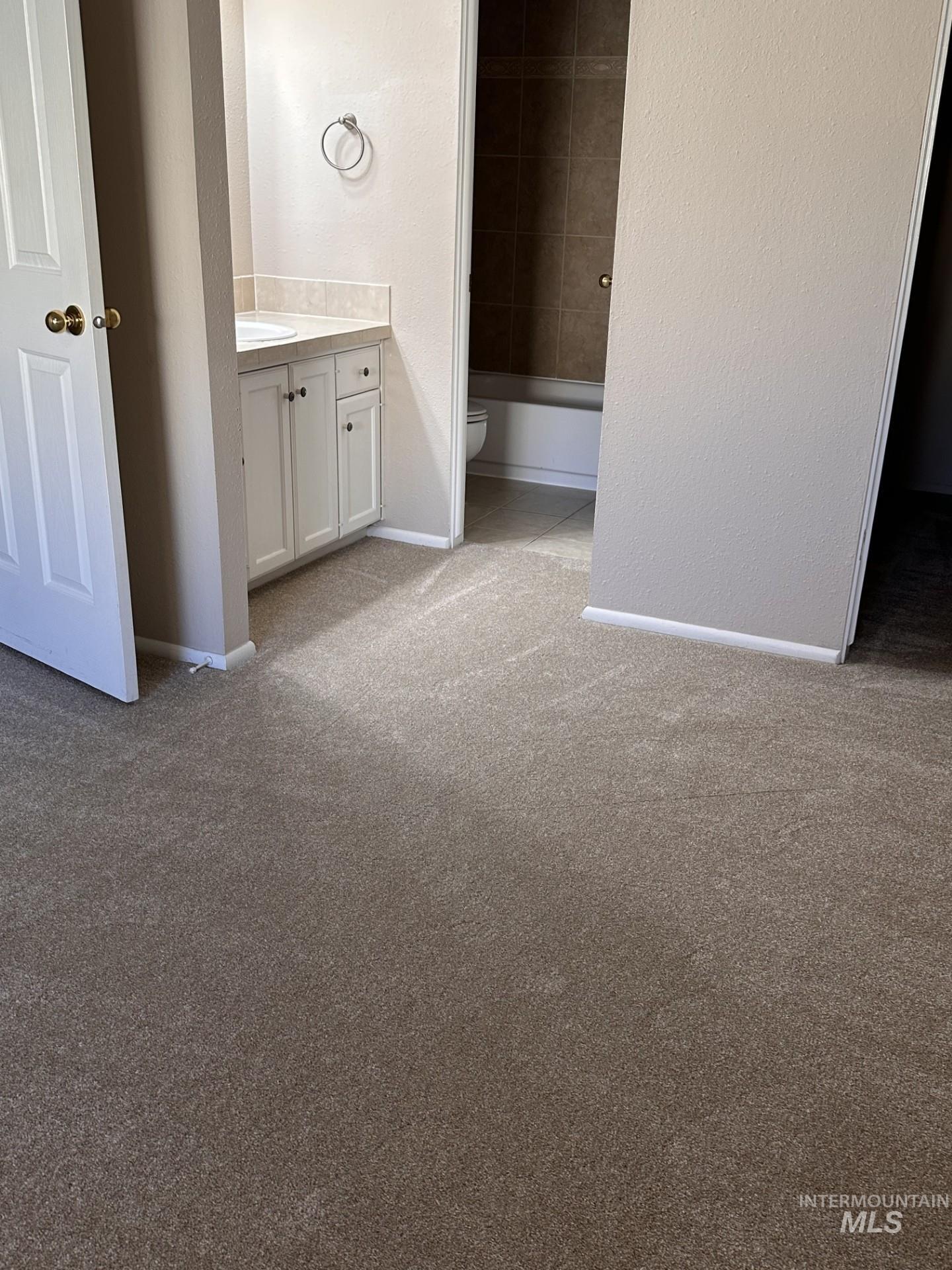 Bathroom featuring a textured wall, vanity, light colored carpet, and a tub