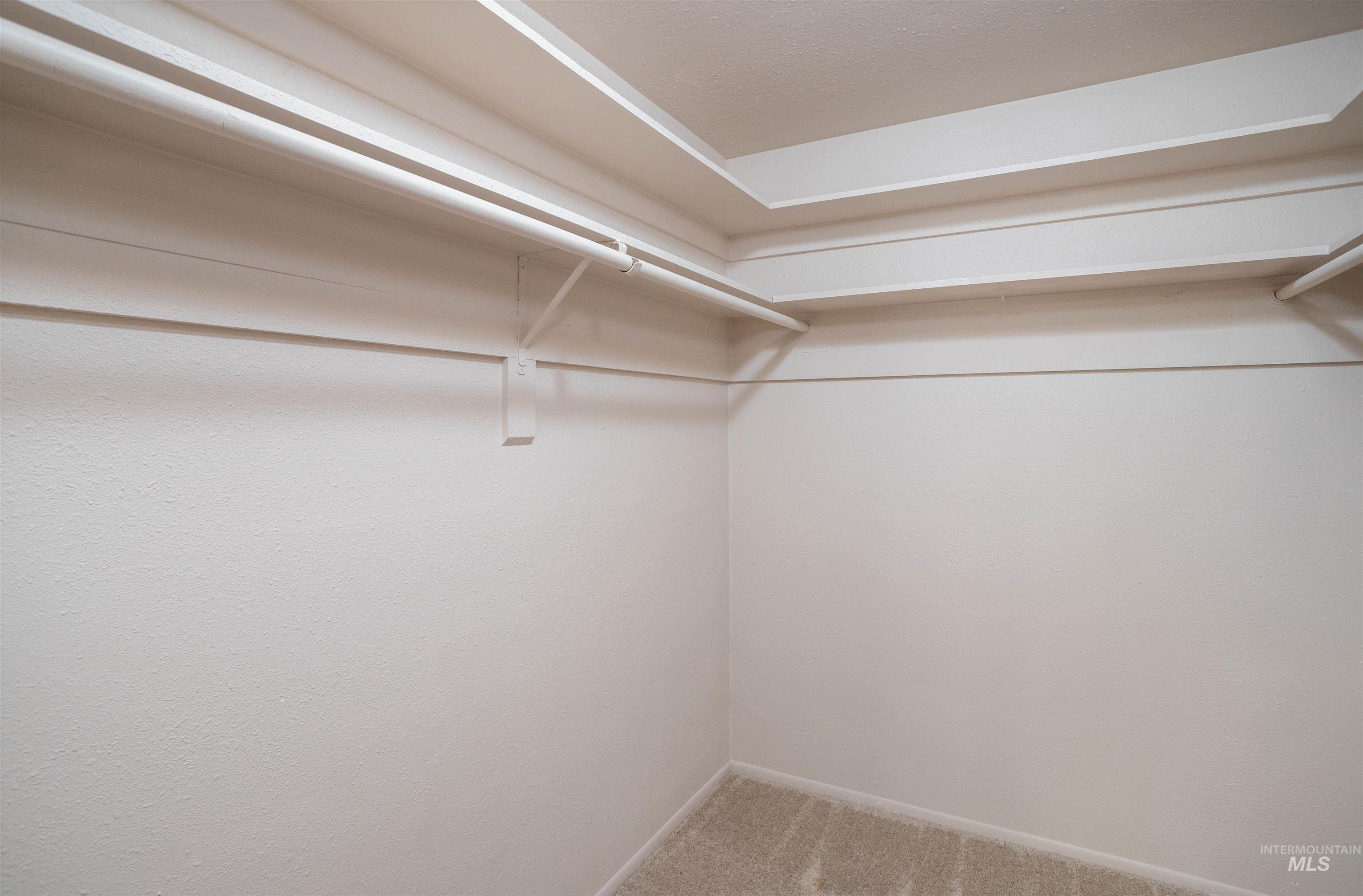 Spacious closet with light carpet