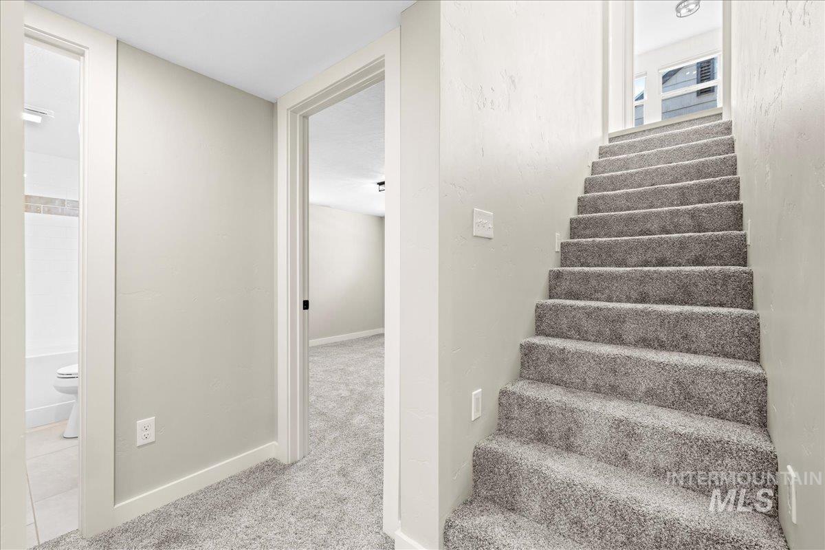 Staircase with carpet floors and baseboards
