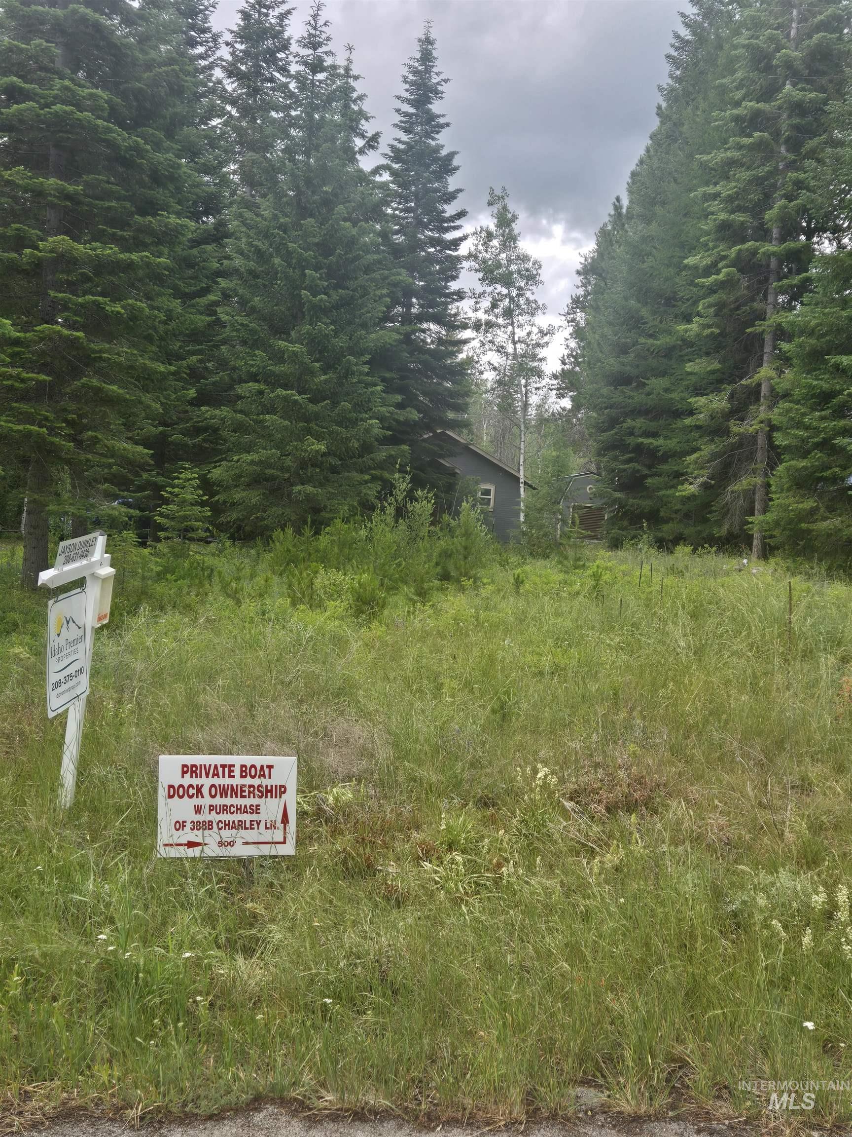 Wooded lot featuring mature evergreen trees and natural ground cover