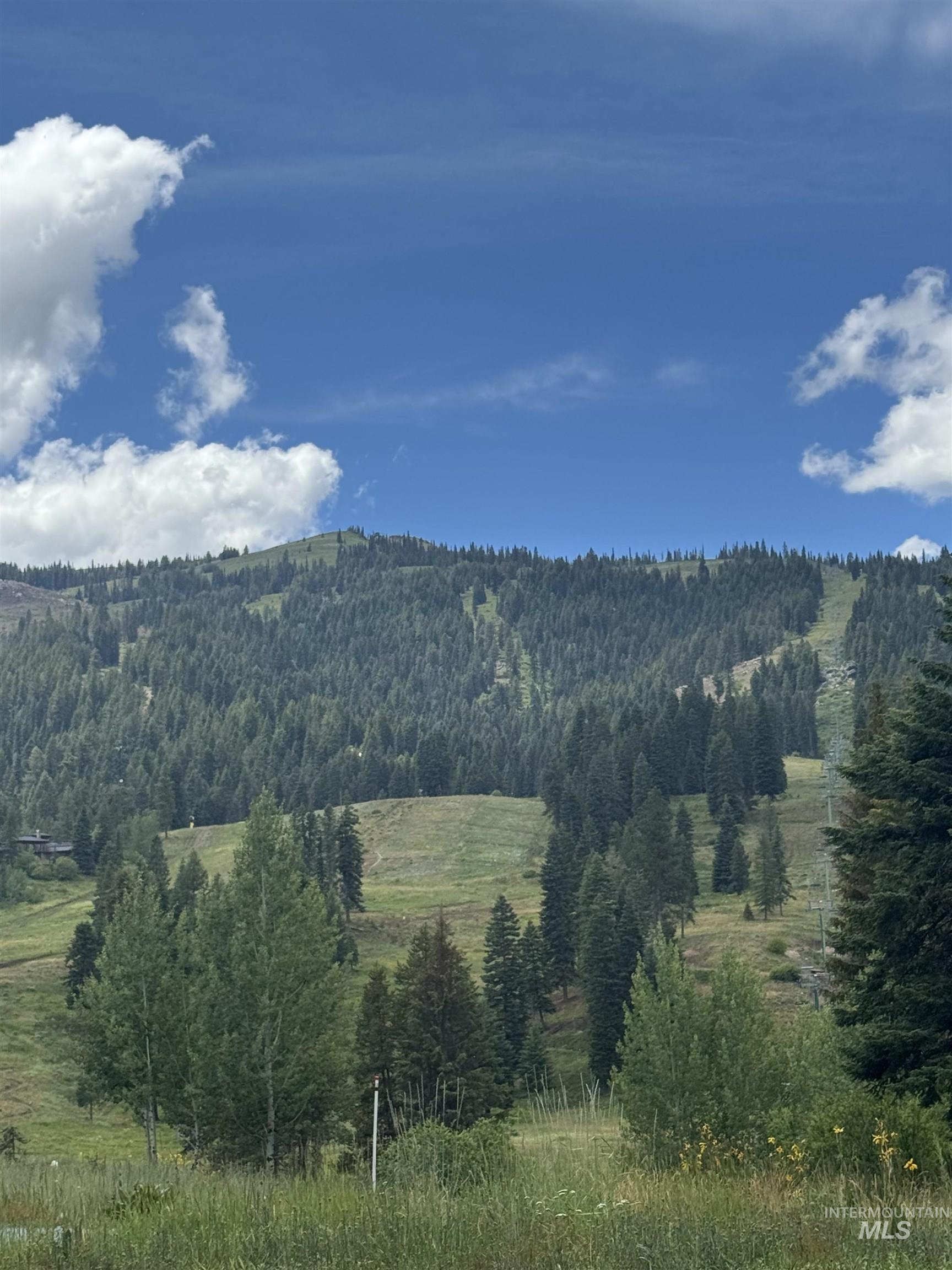Mountainous landscape featuring a dense evergreen tree line