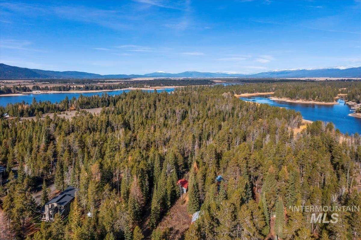 Drone / aerial view of a water and mountain view