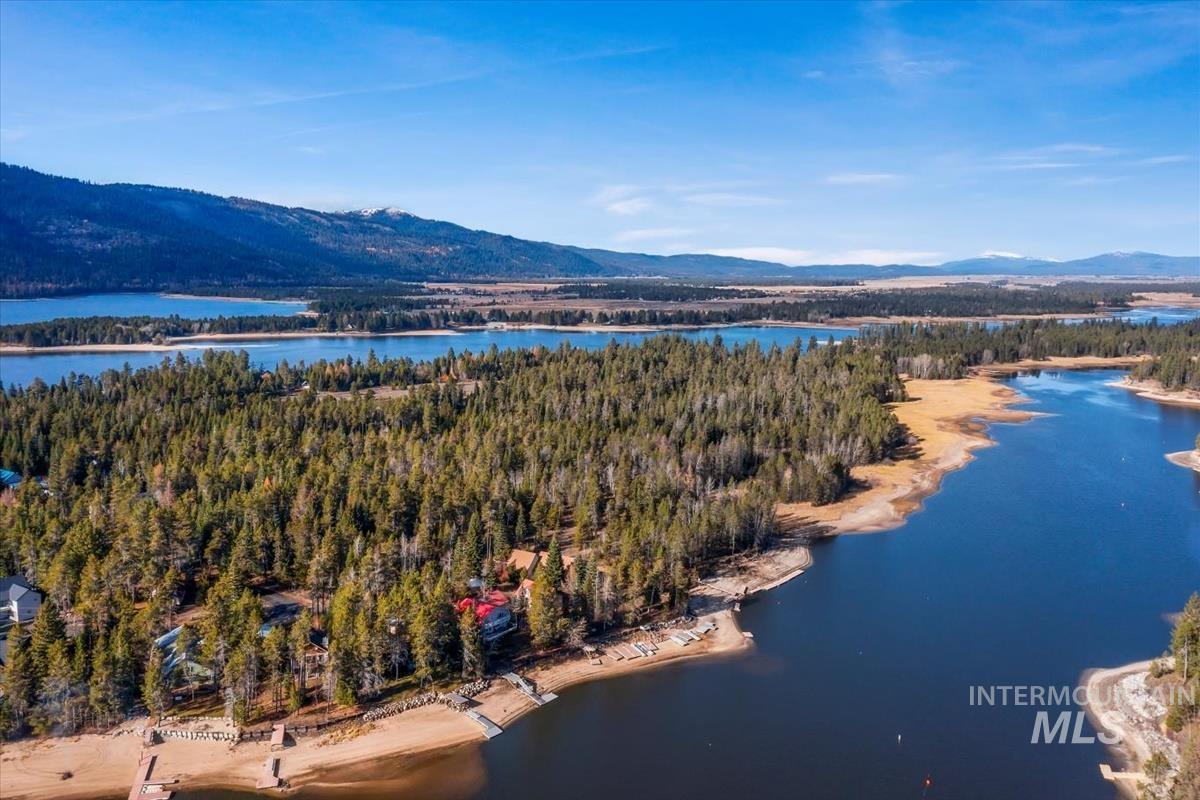 Aerial view of a forest and a water and mountain view