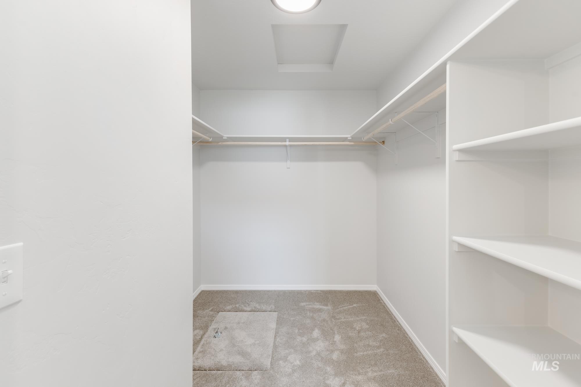 Walk in closet featuring light colored carpet