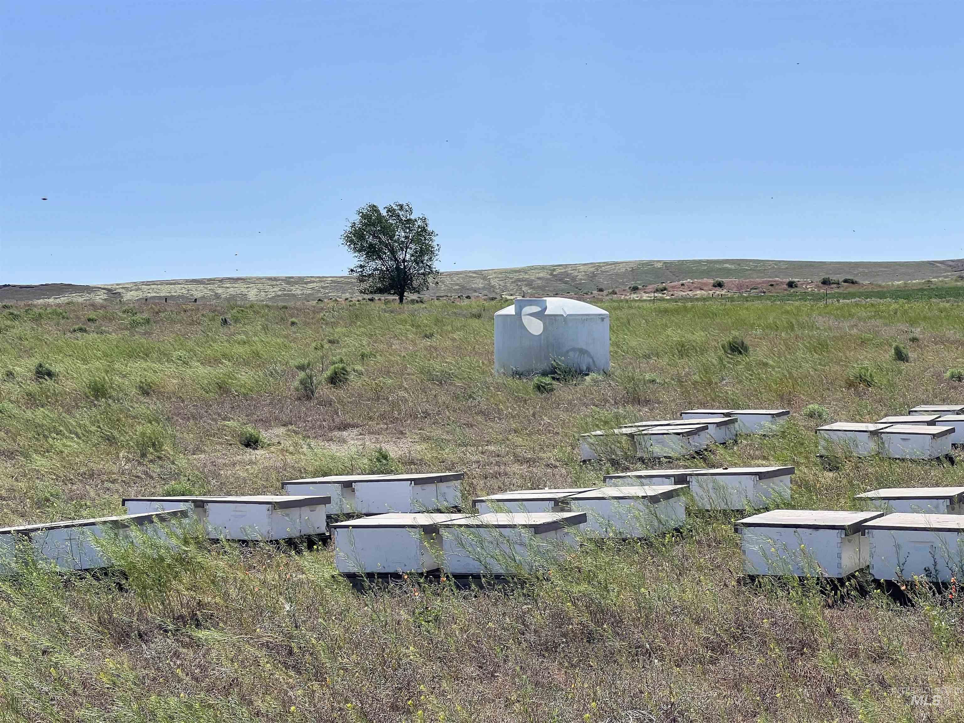 Adrian, Oregon 97901, United States, ,Residential,Active,6752