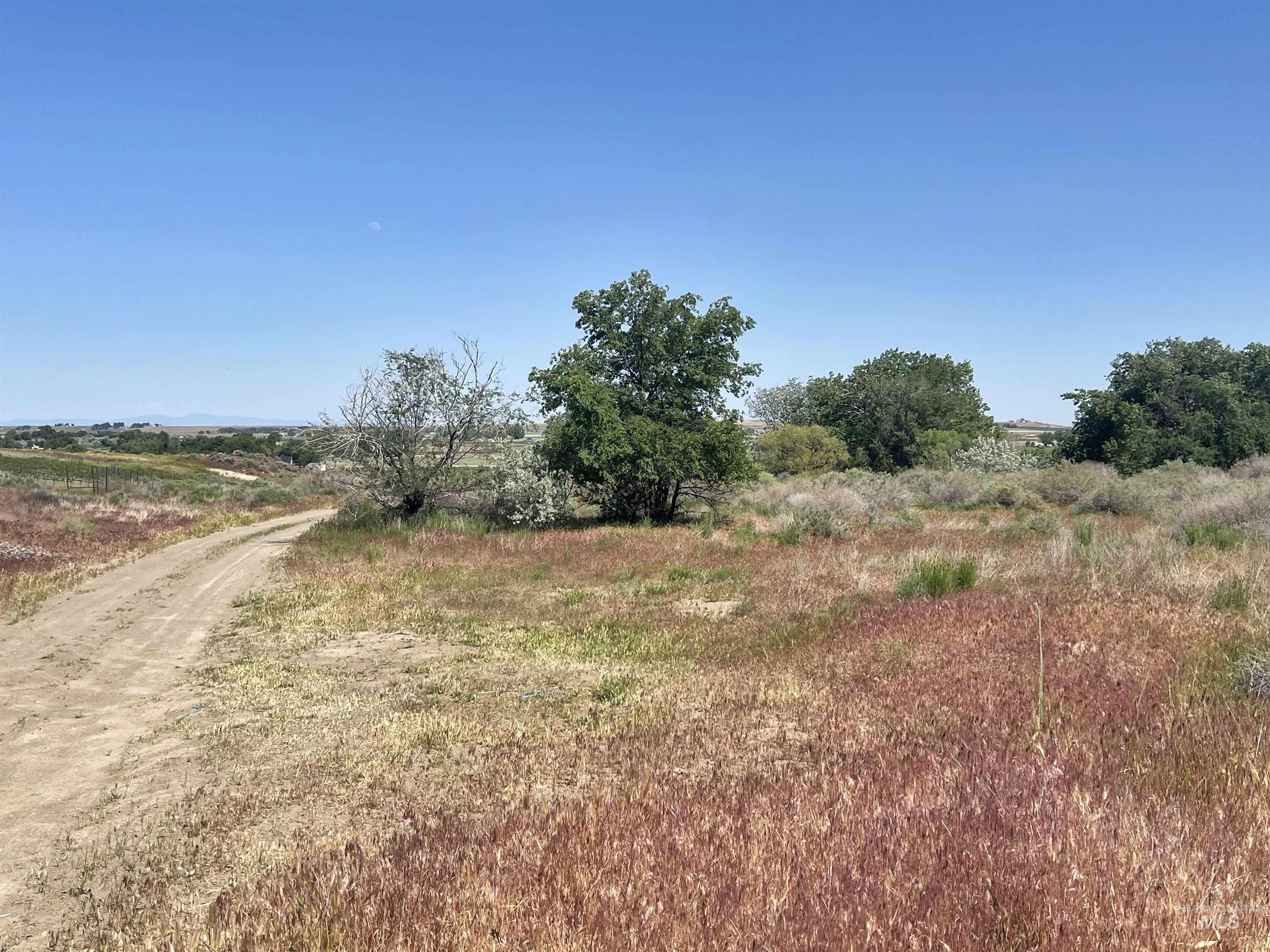 Adrian, Oregon 97901, United States, ,Residential,Active,6752