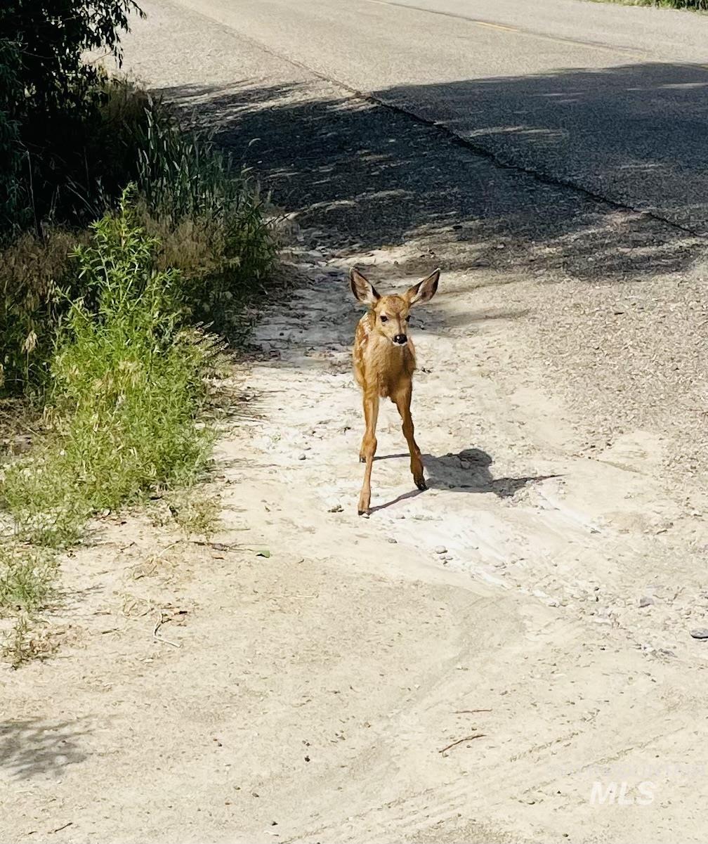 Adrian, Oregon 97901, United States, ,Residential,Active,6752