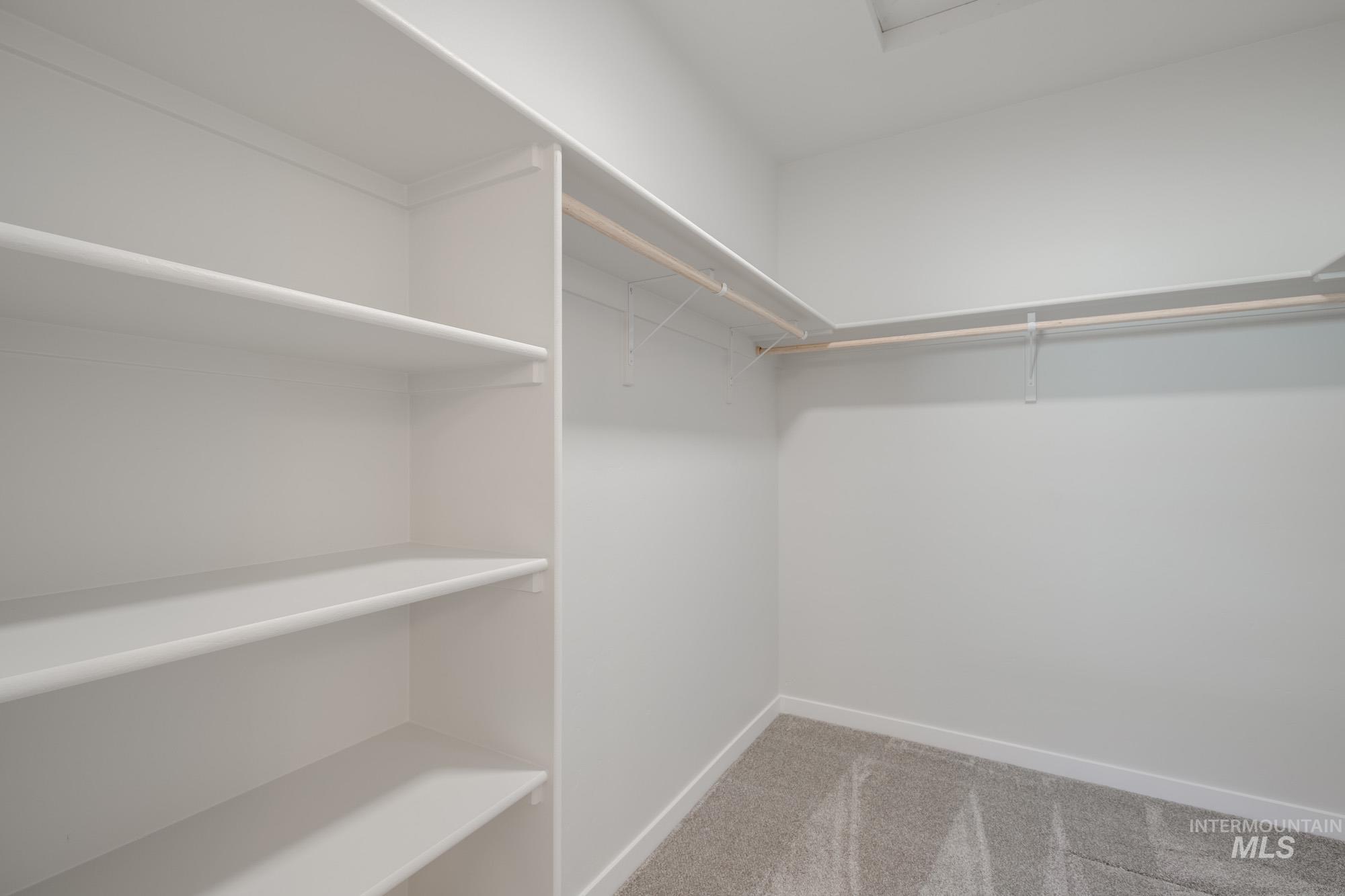 Spacious closet featuring light colored carpet