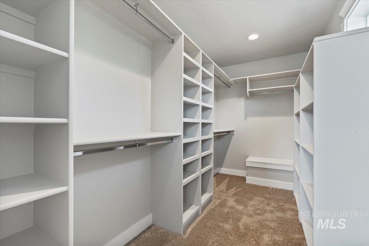 Spacious closet featuring carpet floors