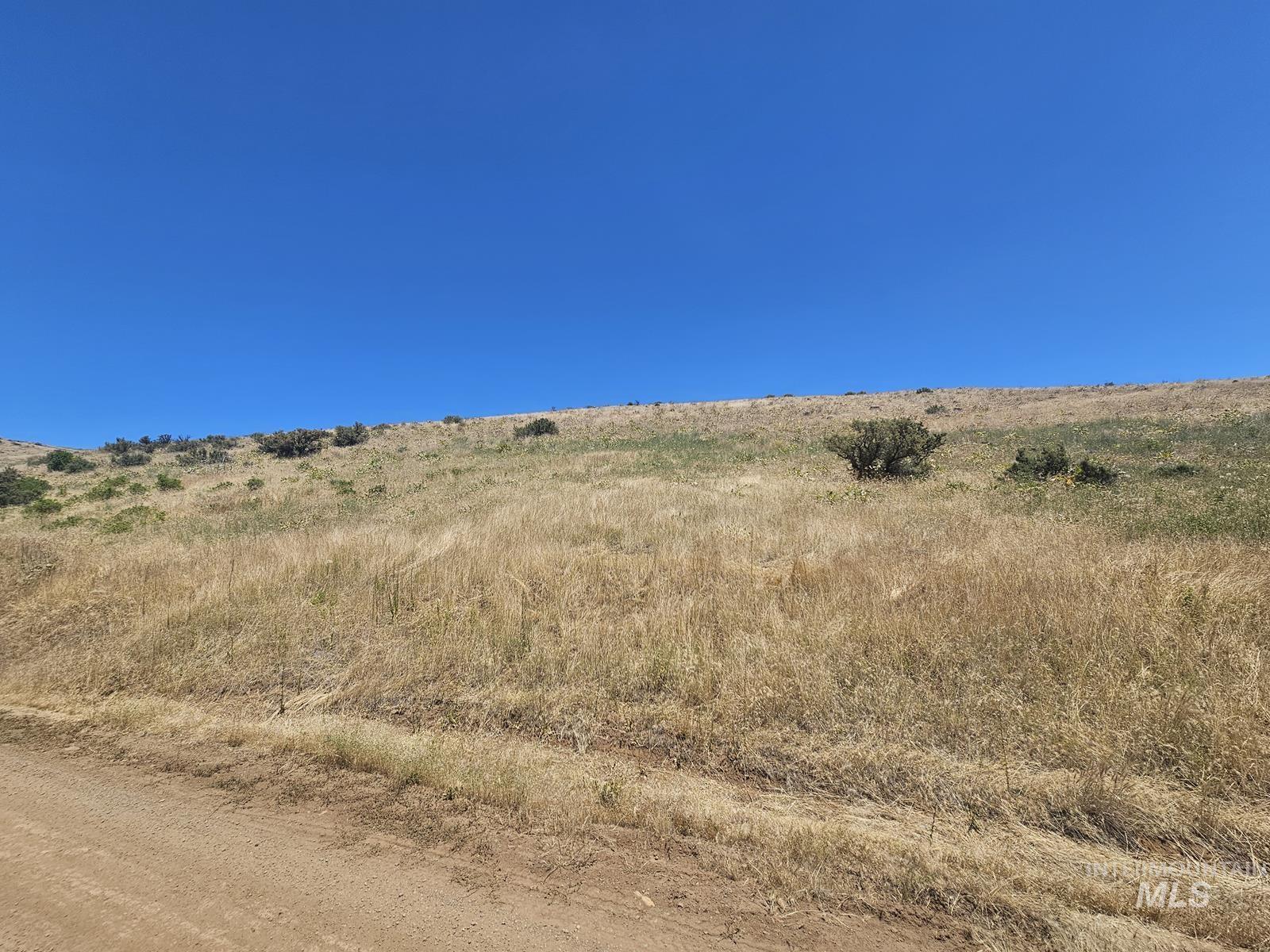 TBD Cow Creek Rd, Council, Idaho image 9