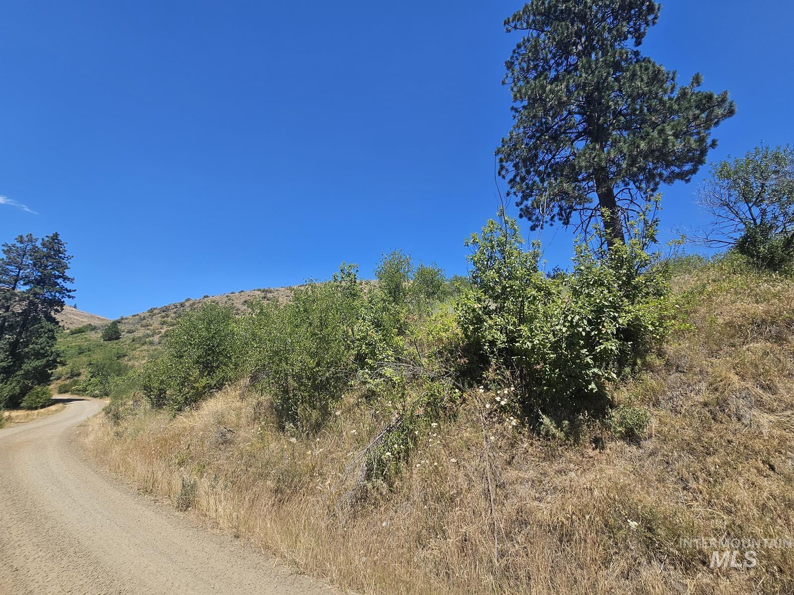 TBD Cow Creek Rd, Council, Idaho image 4