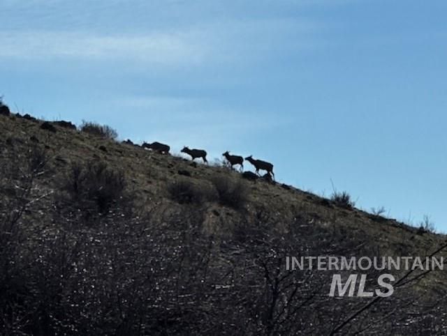 TBD Cow Creek Rd, Council, Idaho image 15